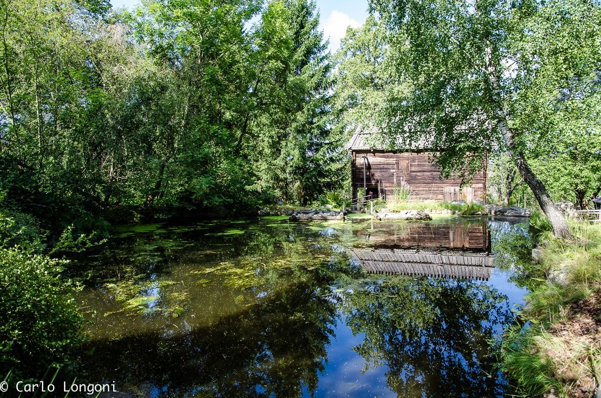 Parco Skansen Stoccolma