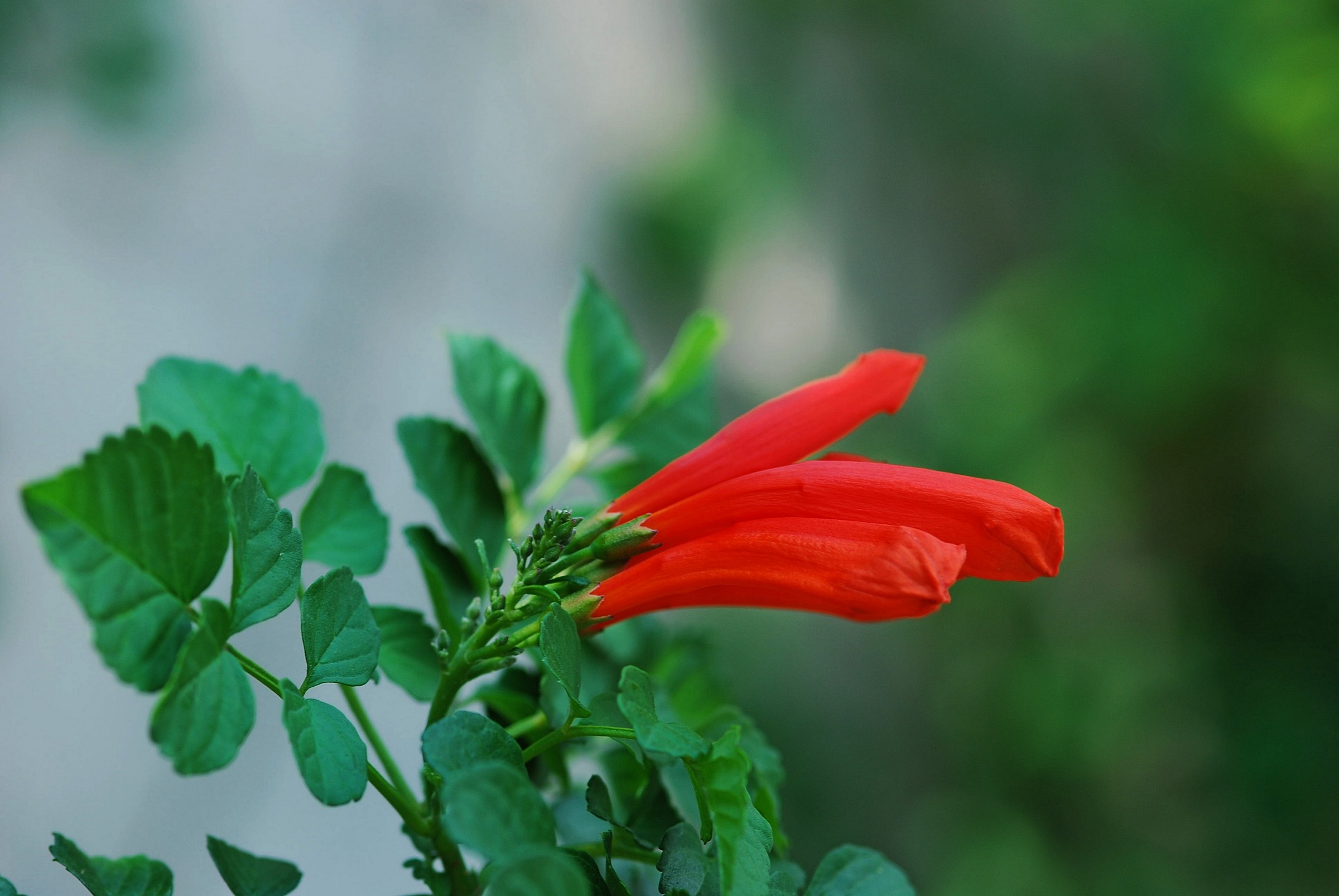 Chiusi per mancanza di sole