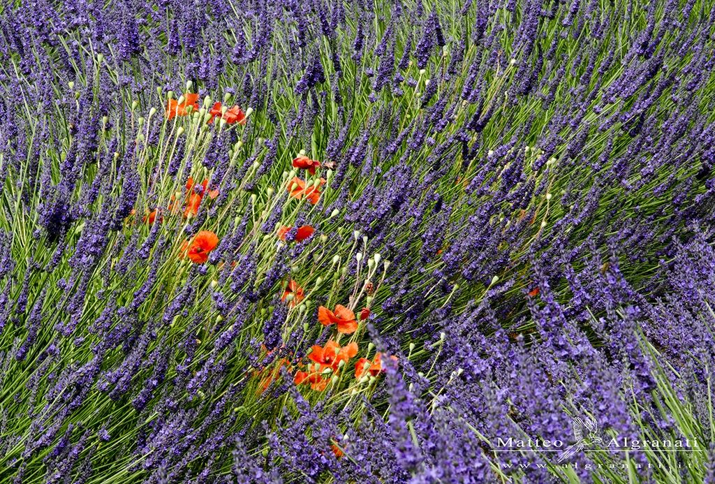 Montboucher-sur-Jabron