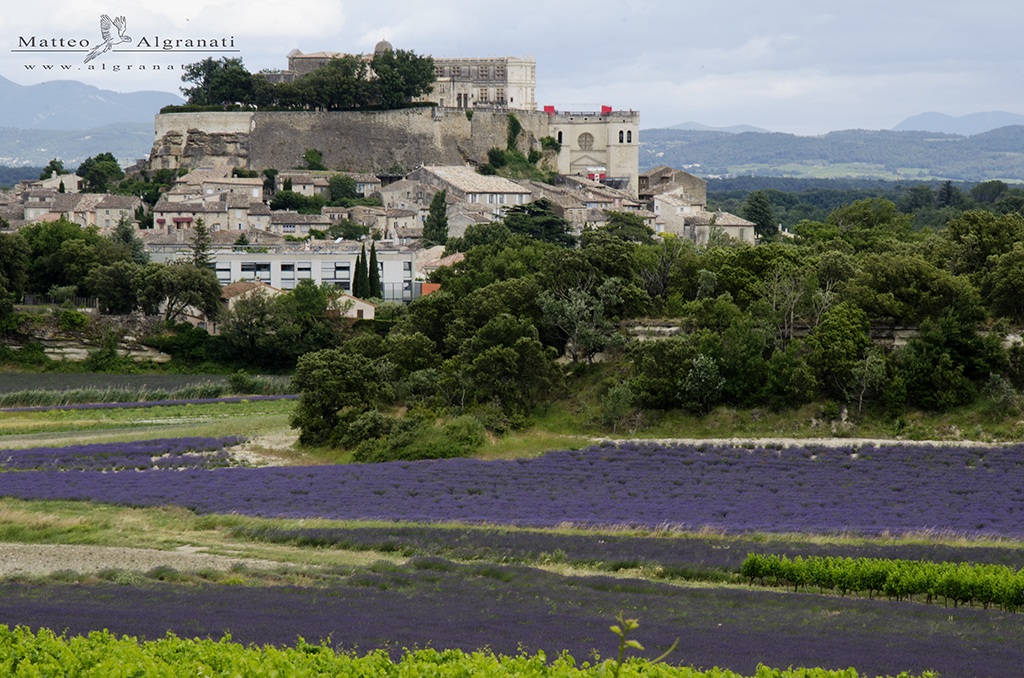 Grignan