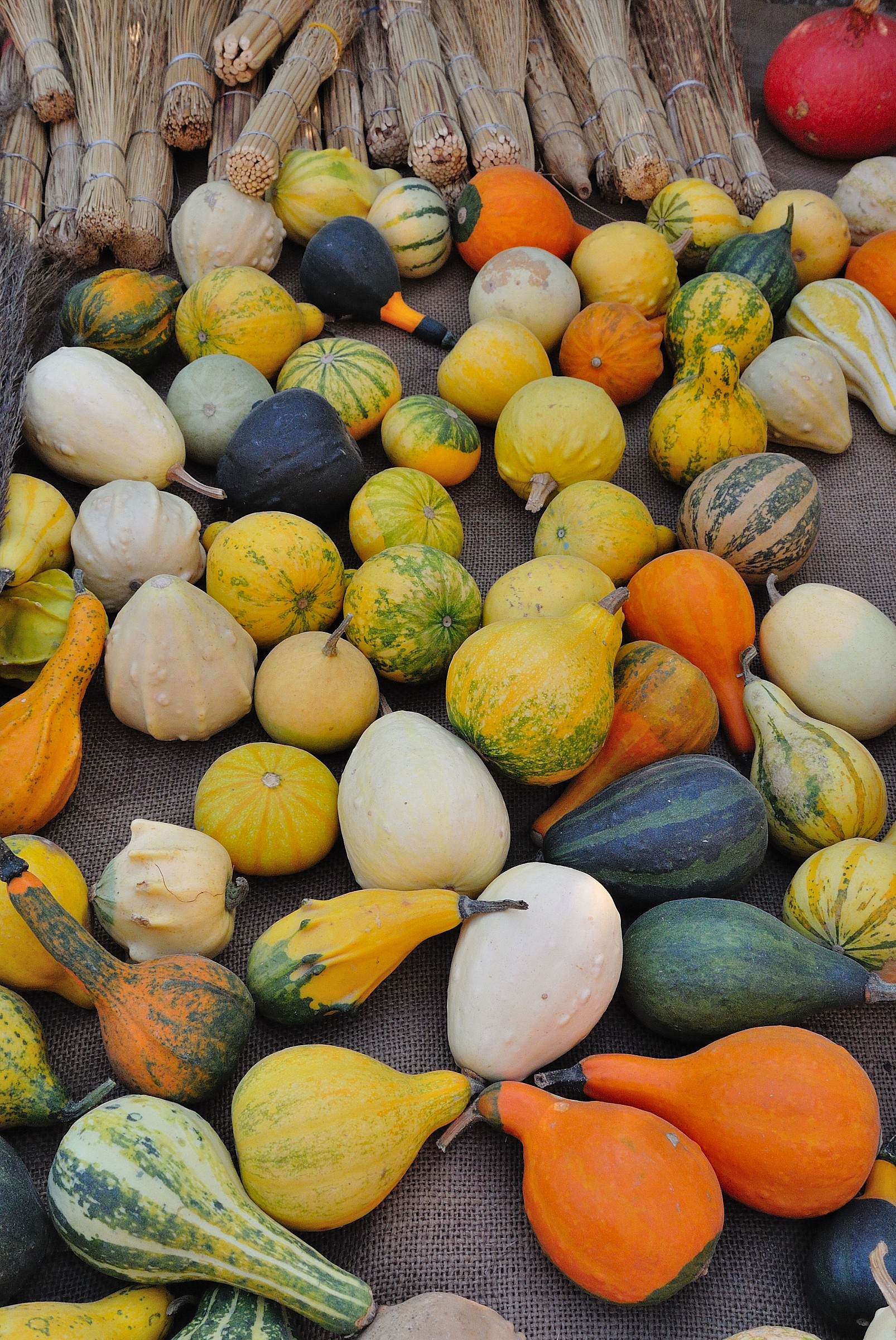 Pumpkins