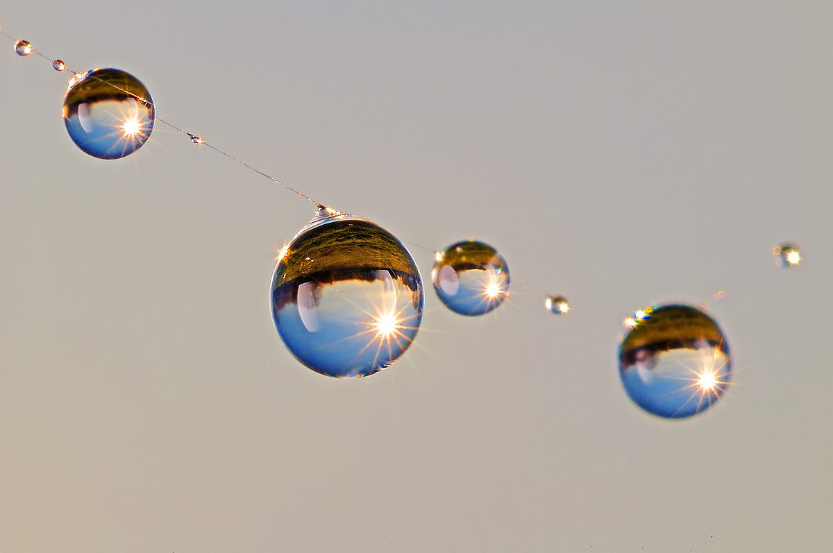 The world in a drop