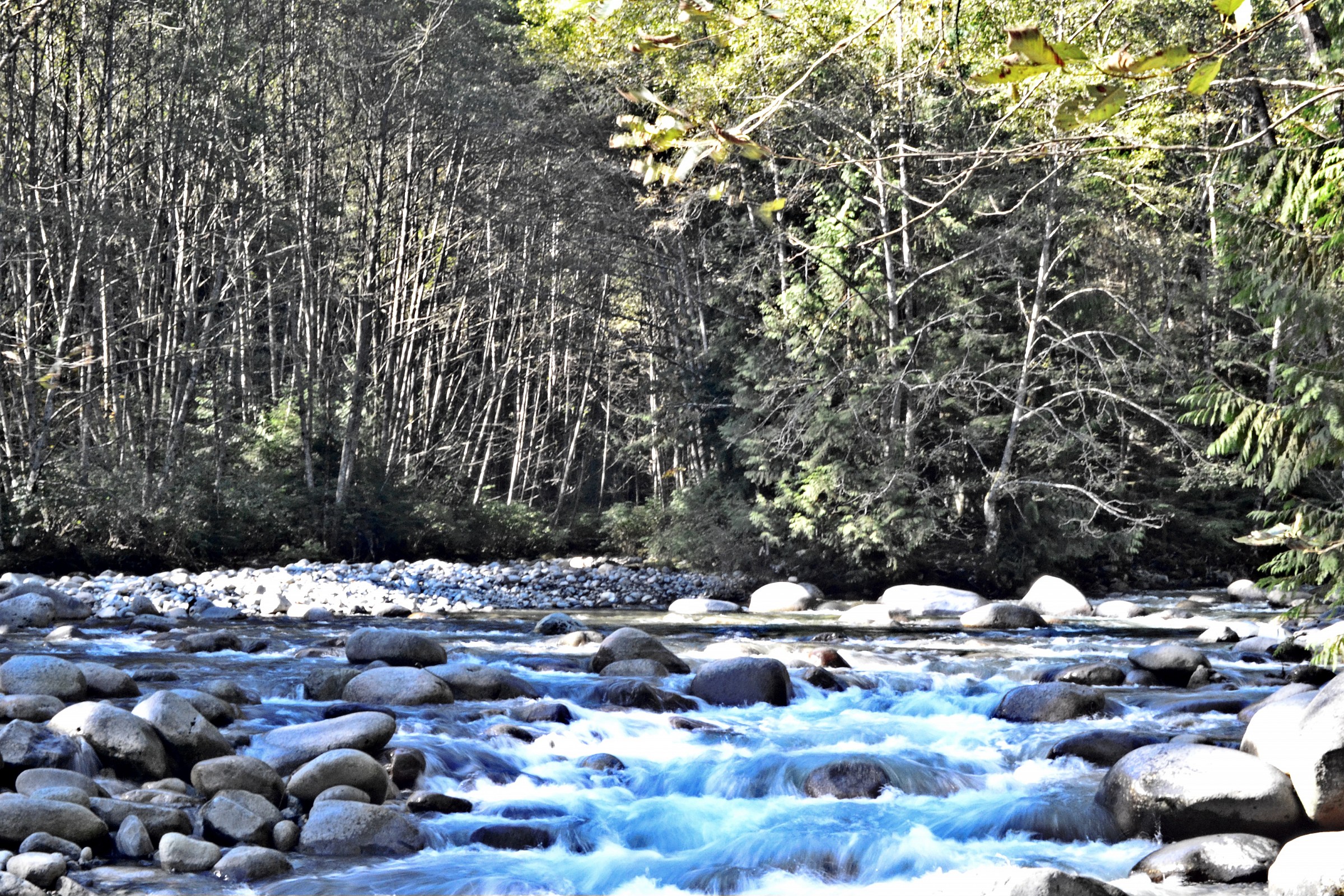 water testing various