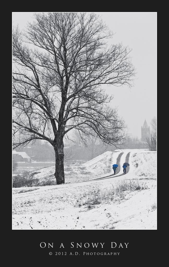 On a Snowy Day
