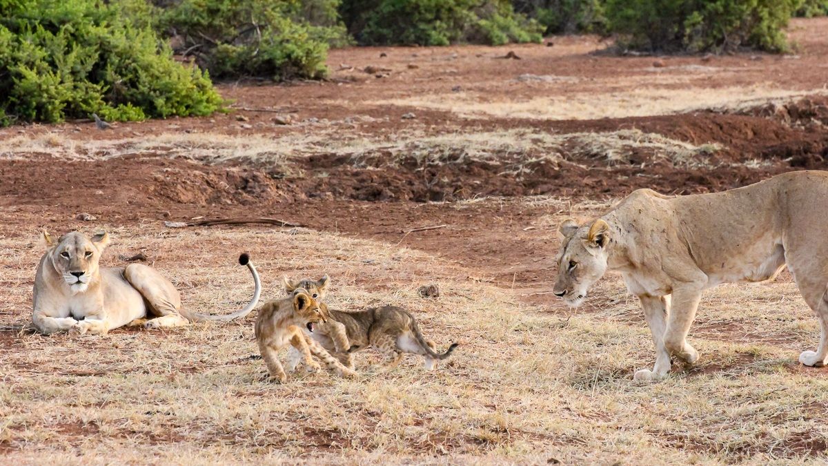 I'm keeping an eye on it!