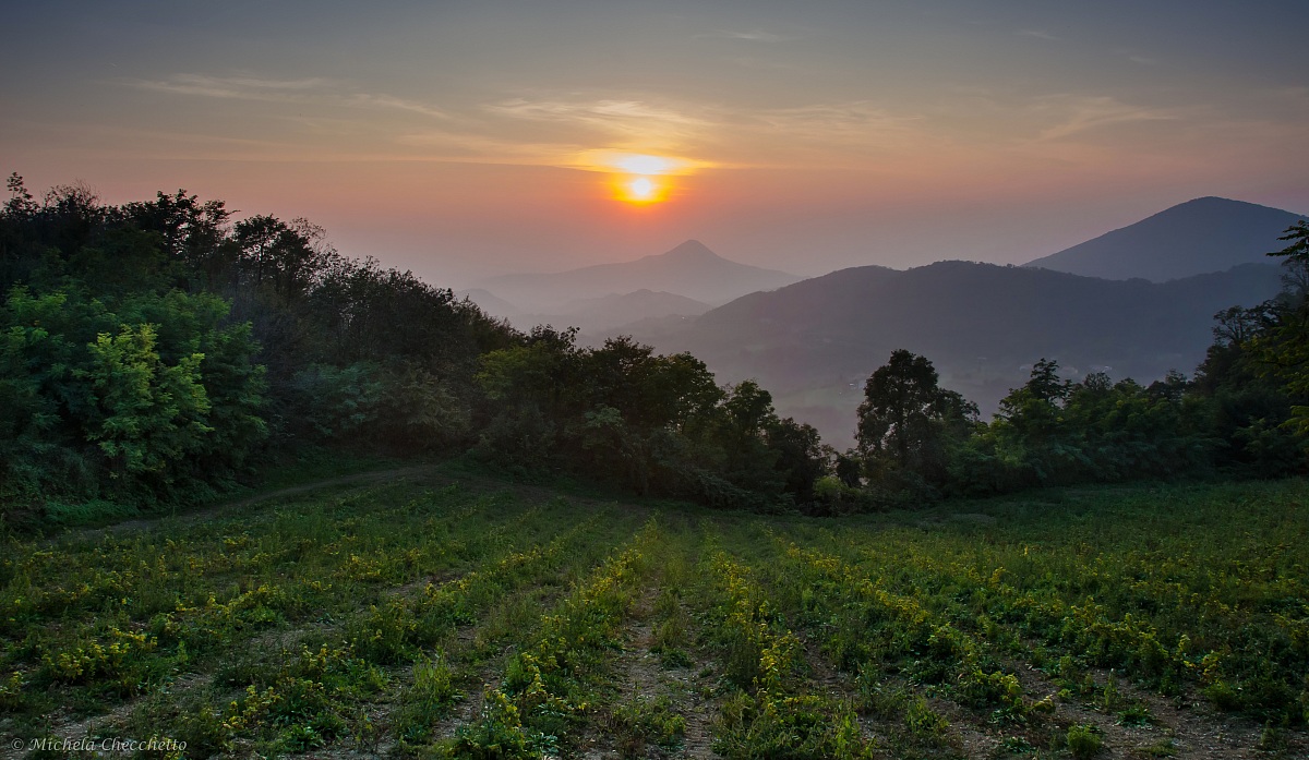 L'inchino del giorno
