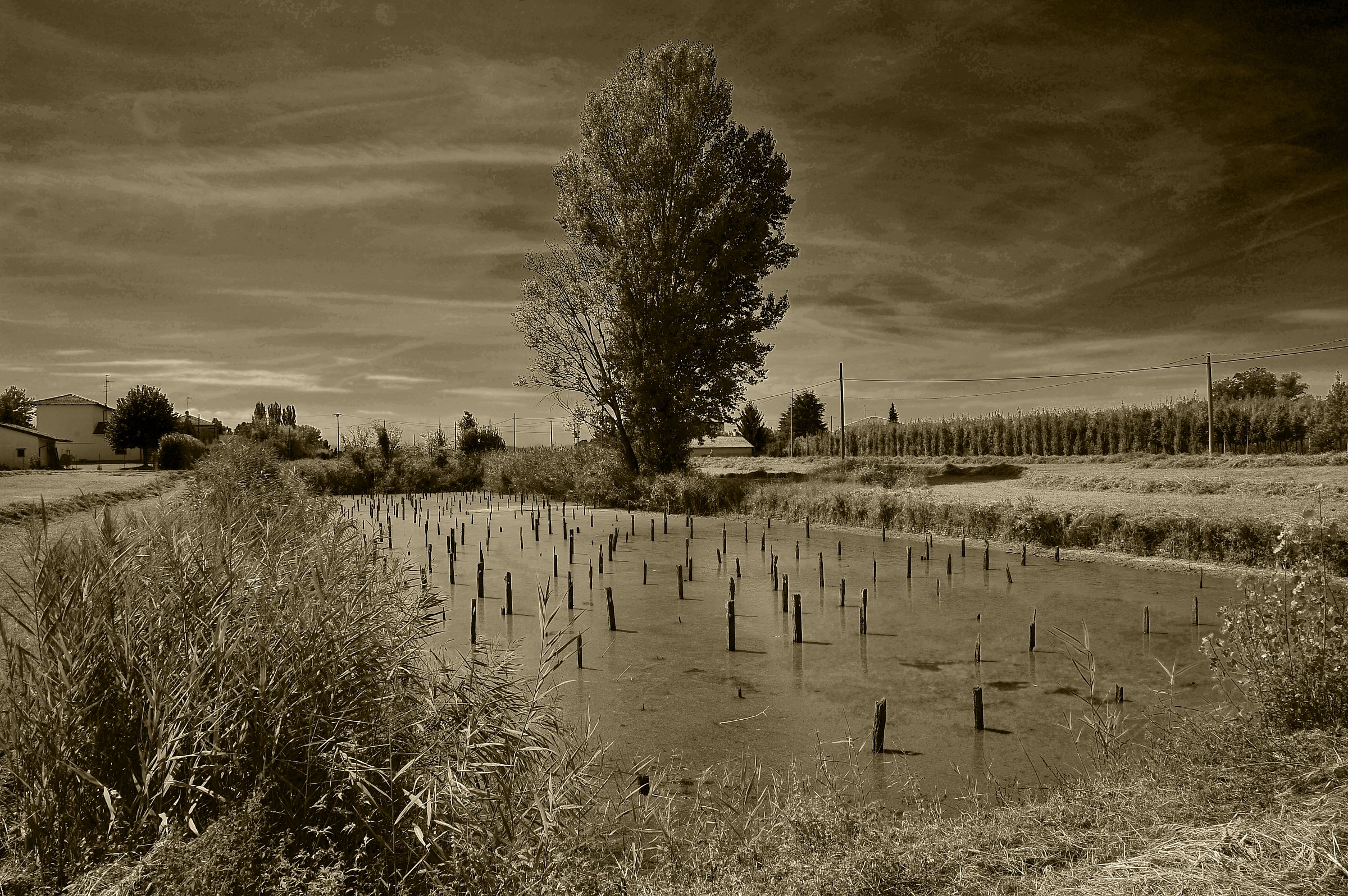 A ricordo della lavorazione della canapa....