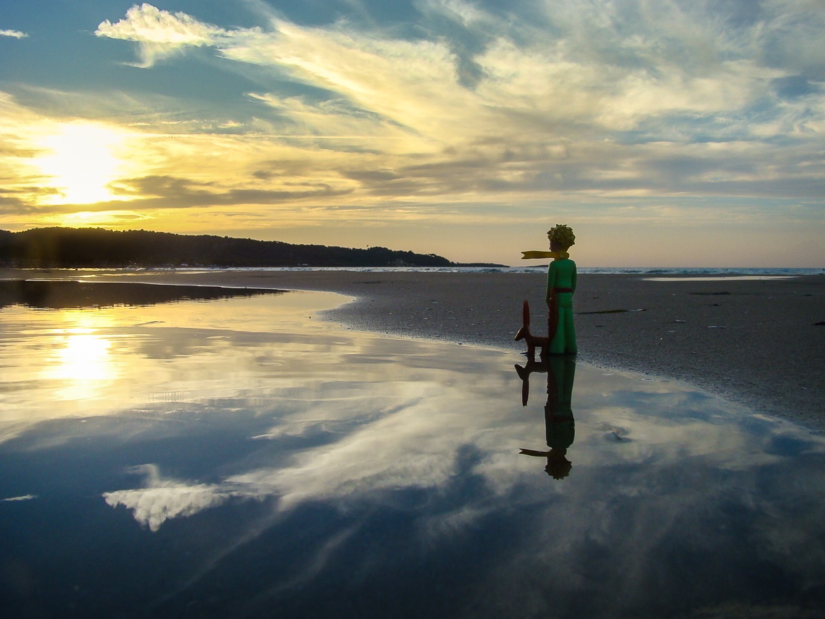 i pensieri del Piccolo Principe