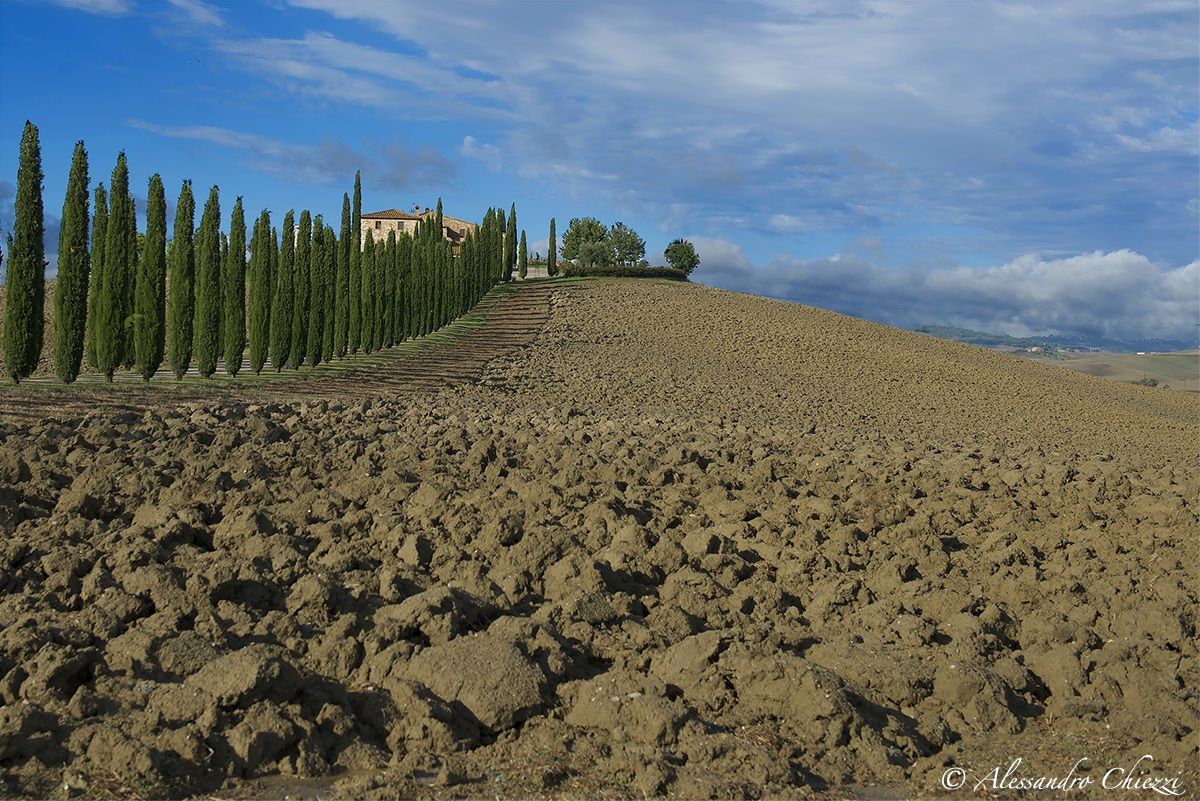 Terra toscana