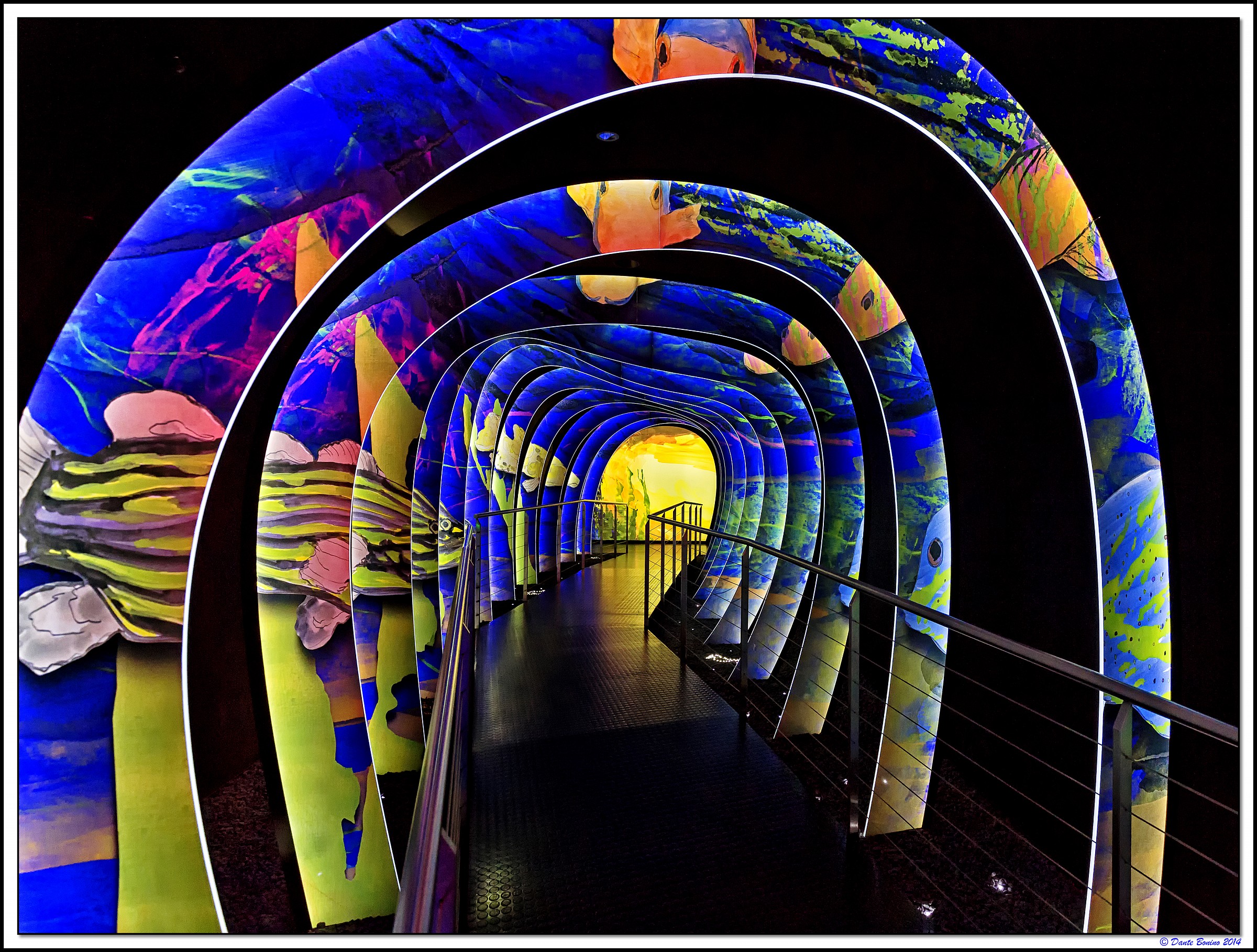 The puzzle of Poseidon