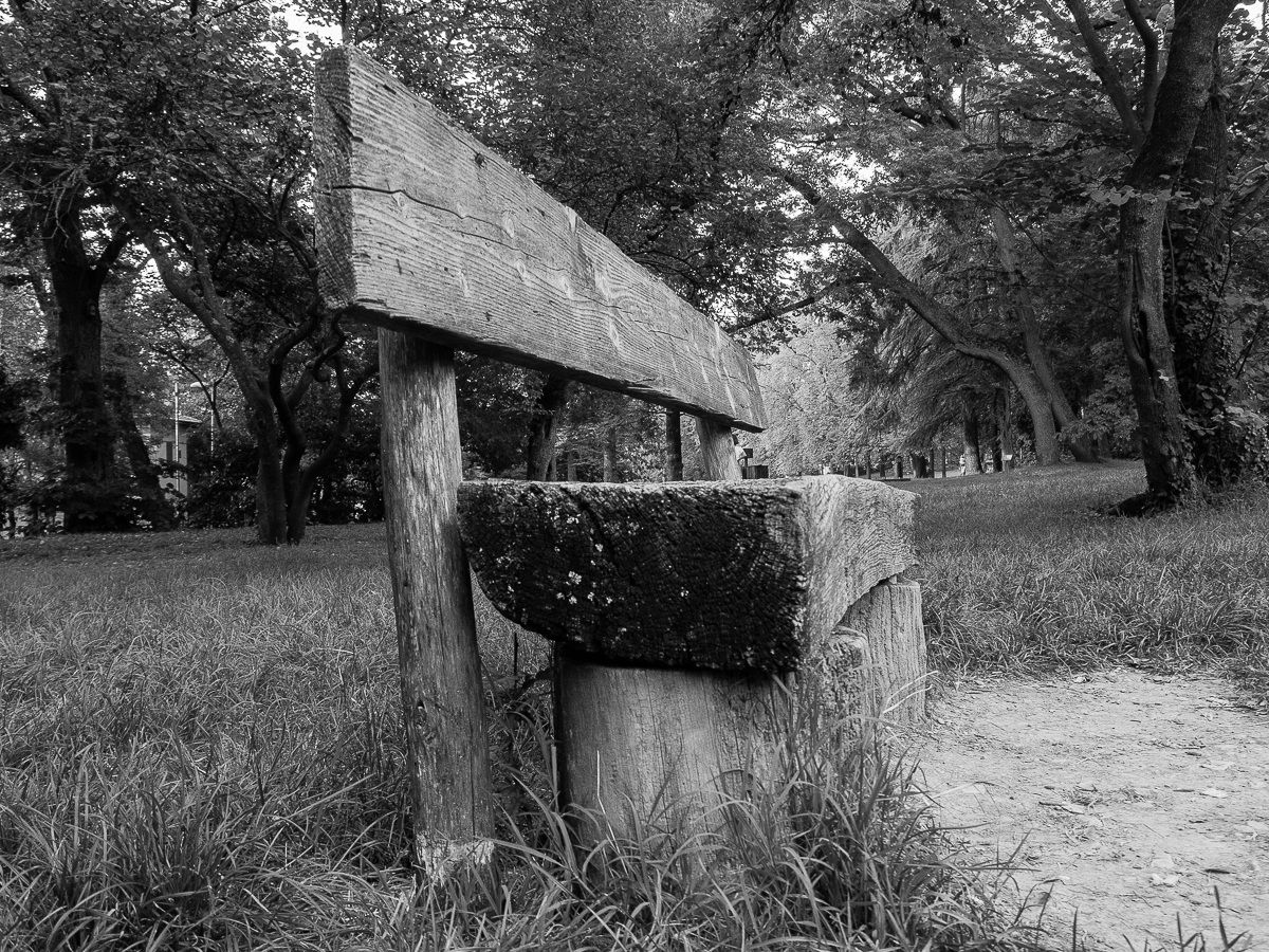 Panchina solitaria_1