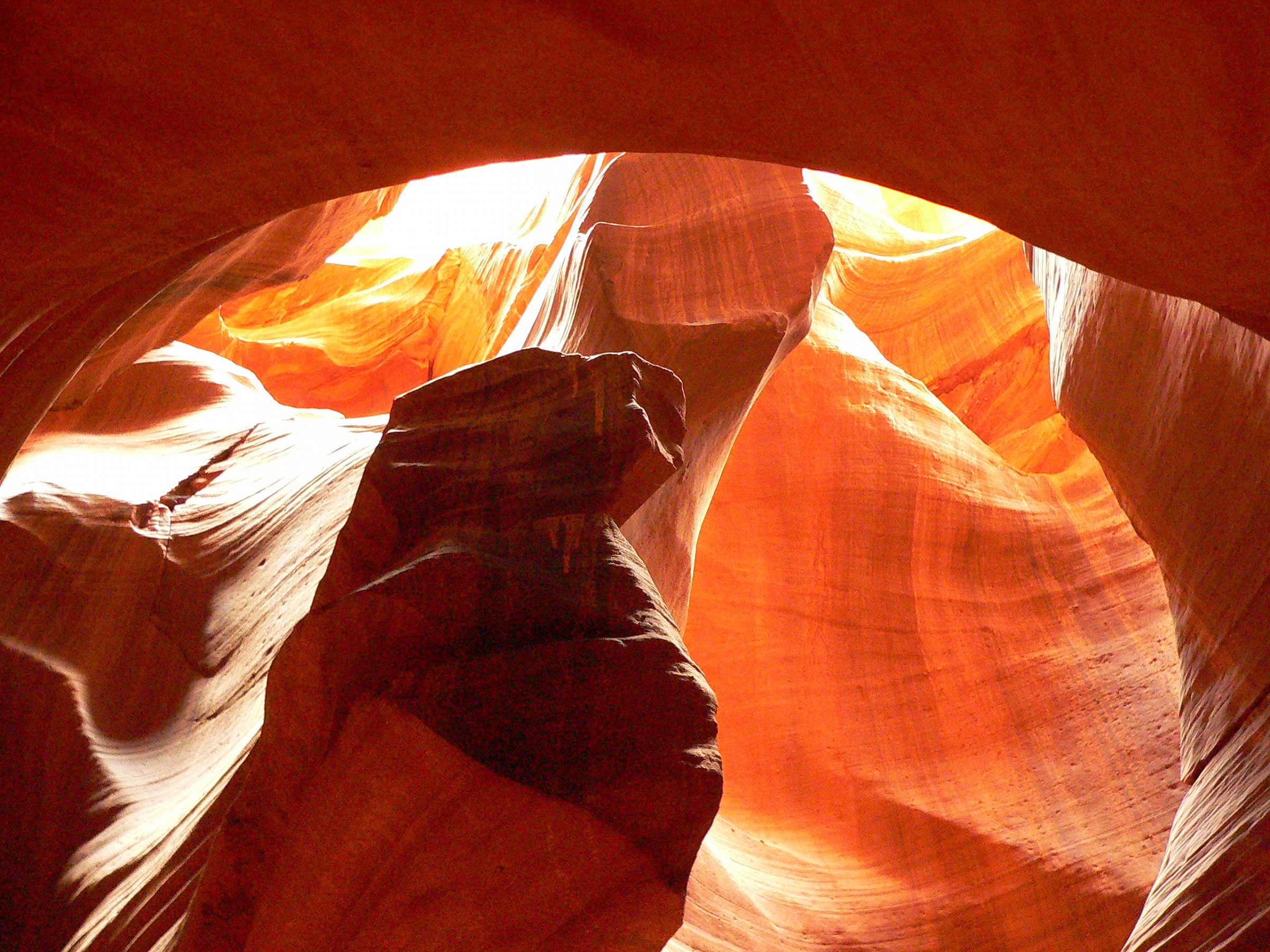 Il custode nell'ombra