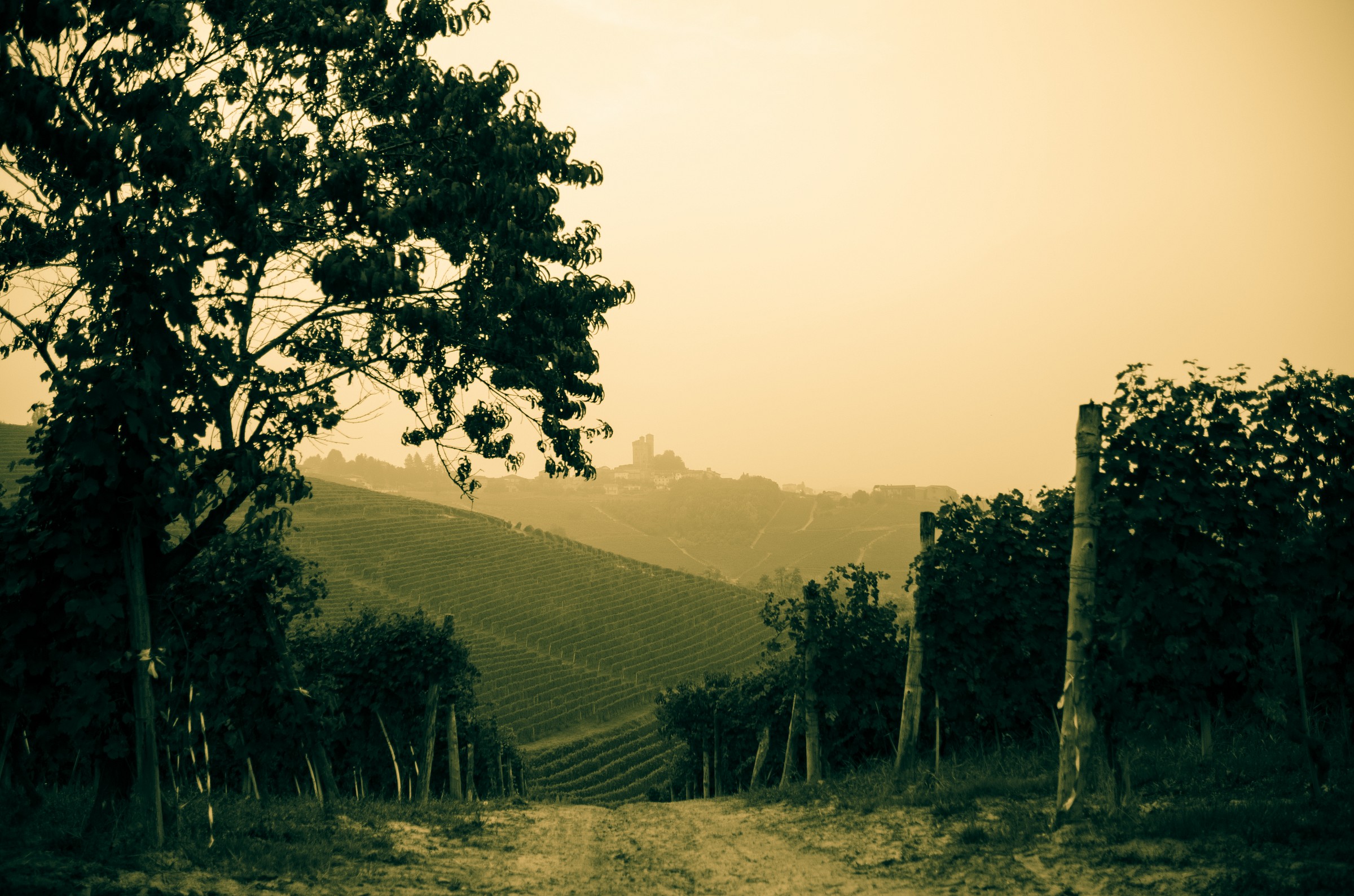 Awakening of the screws