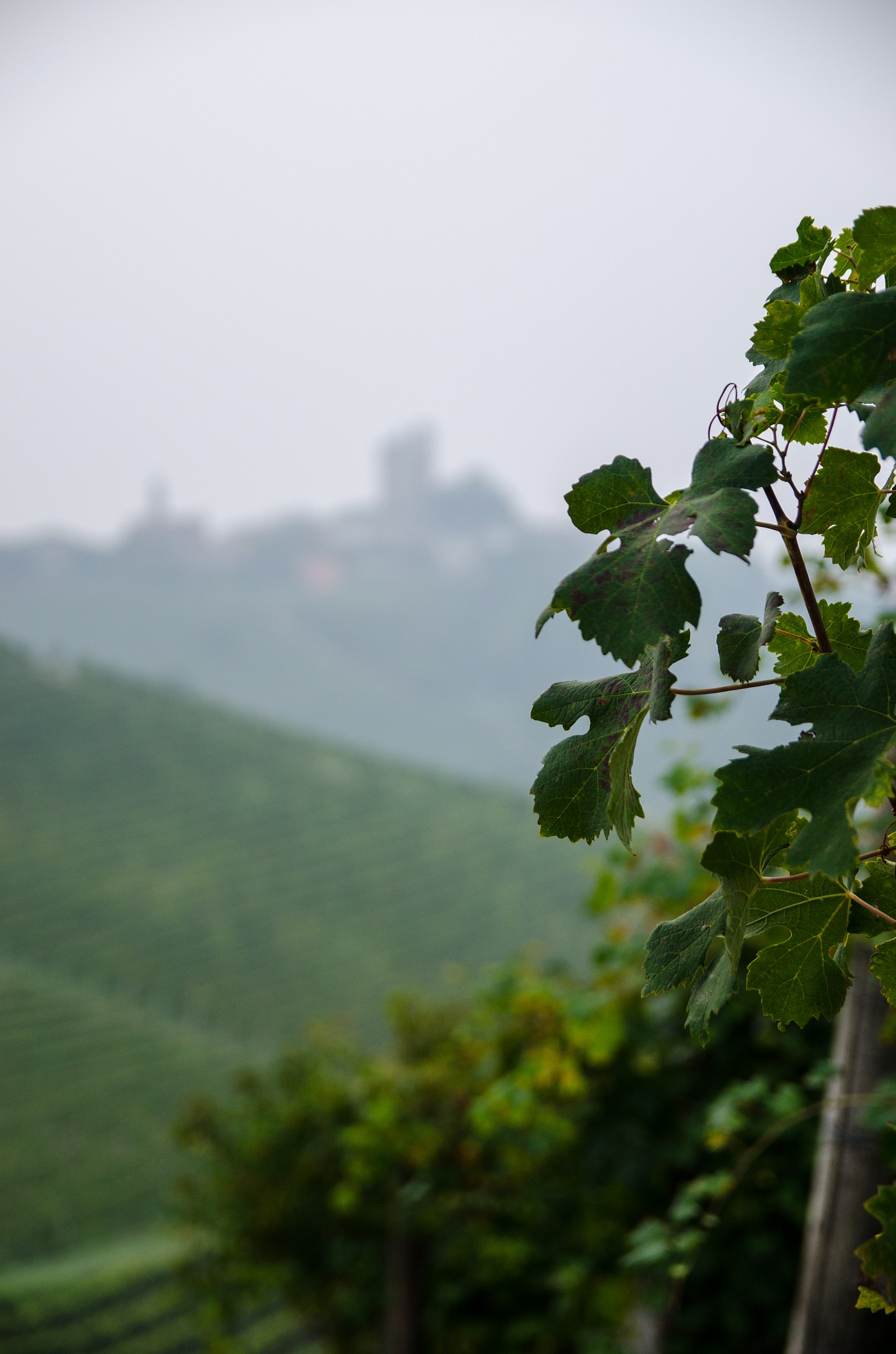 The tower at sunrise in Serralunga