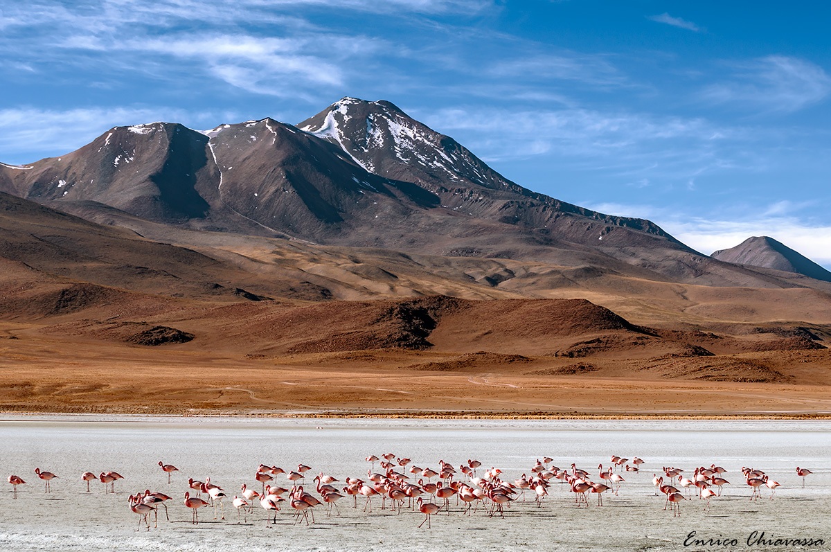 Bolivia: ruta los desiertos