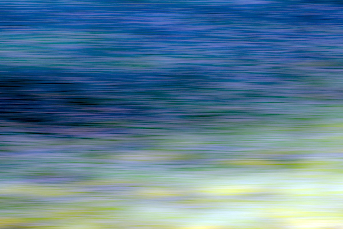 began my pilgrimage ...