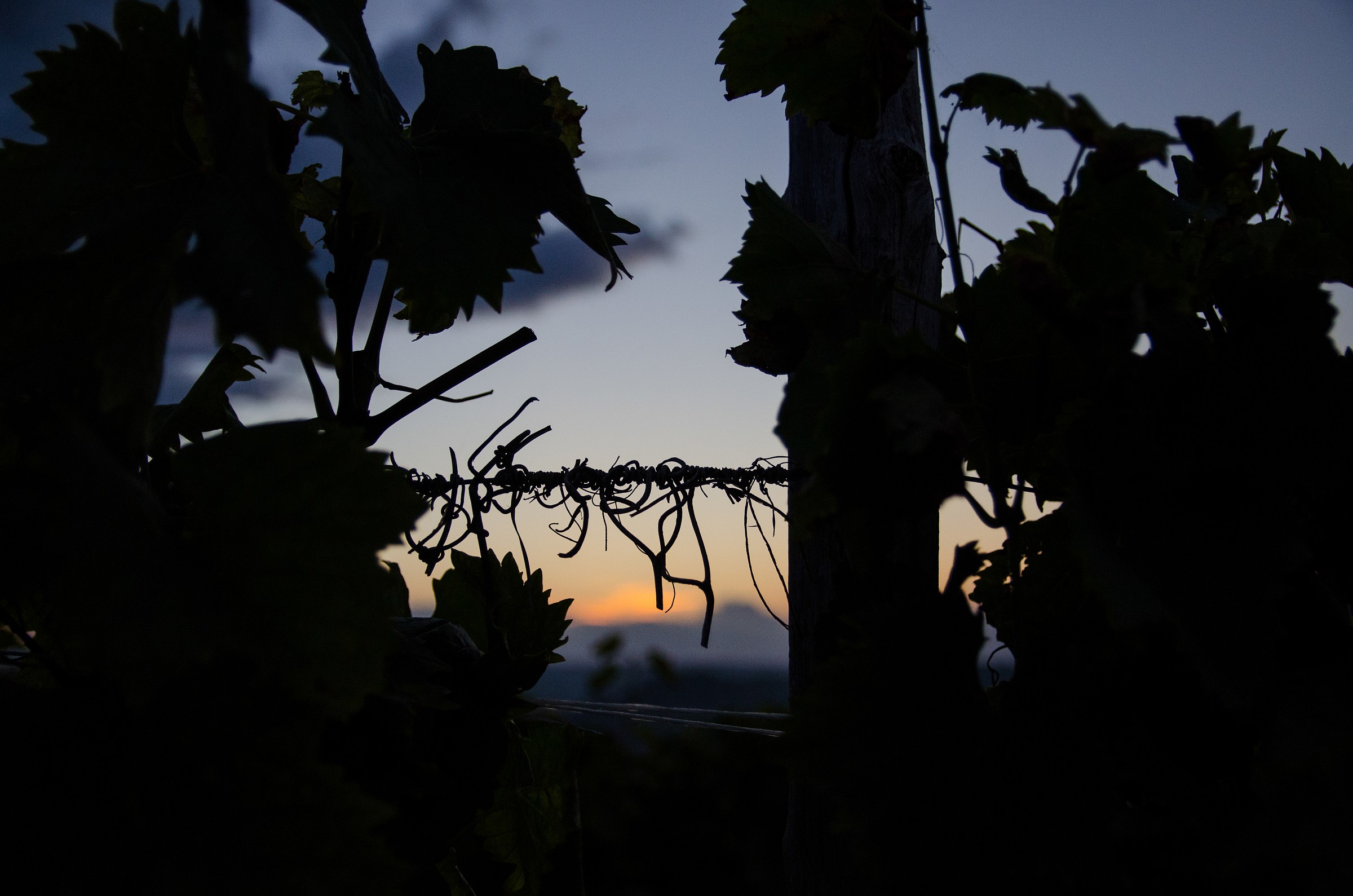 And ... the day he dies ...