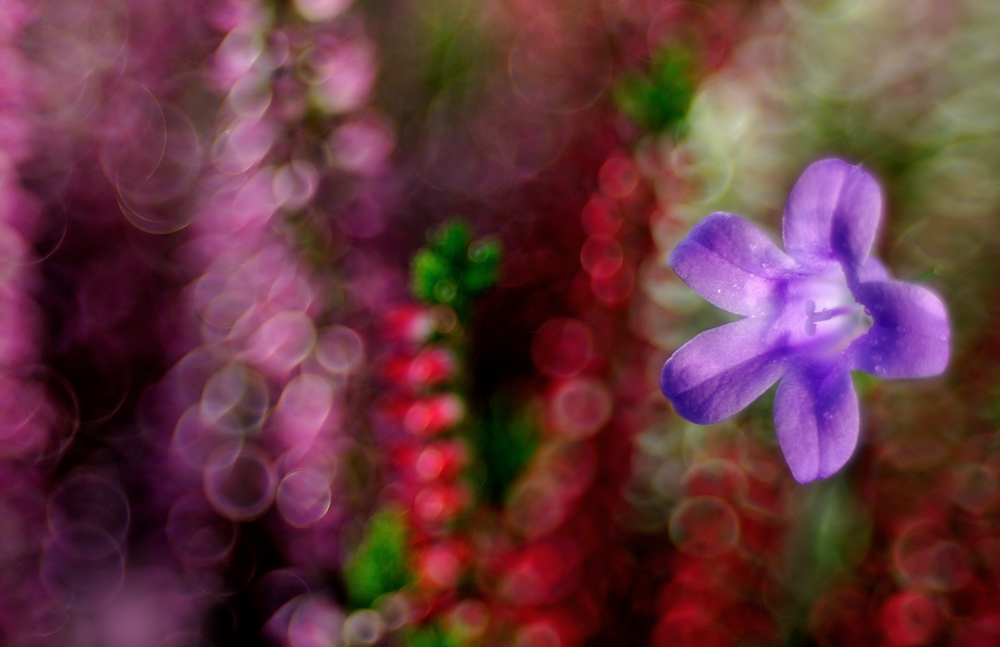 Tavolozza di colori..