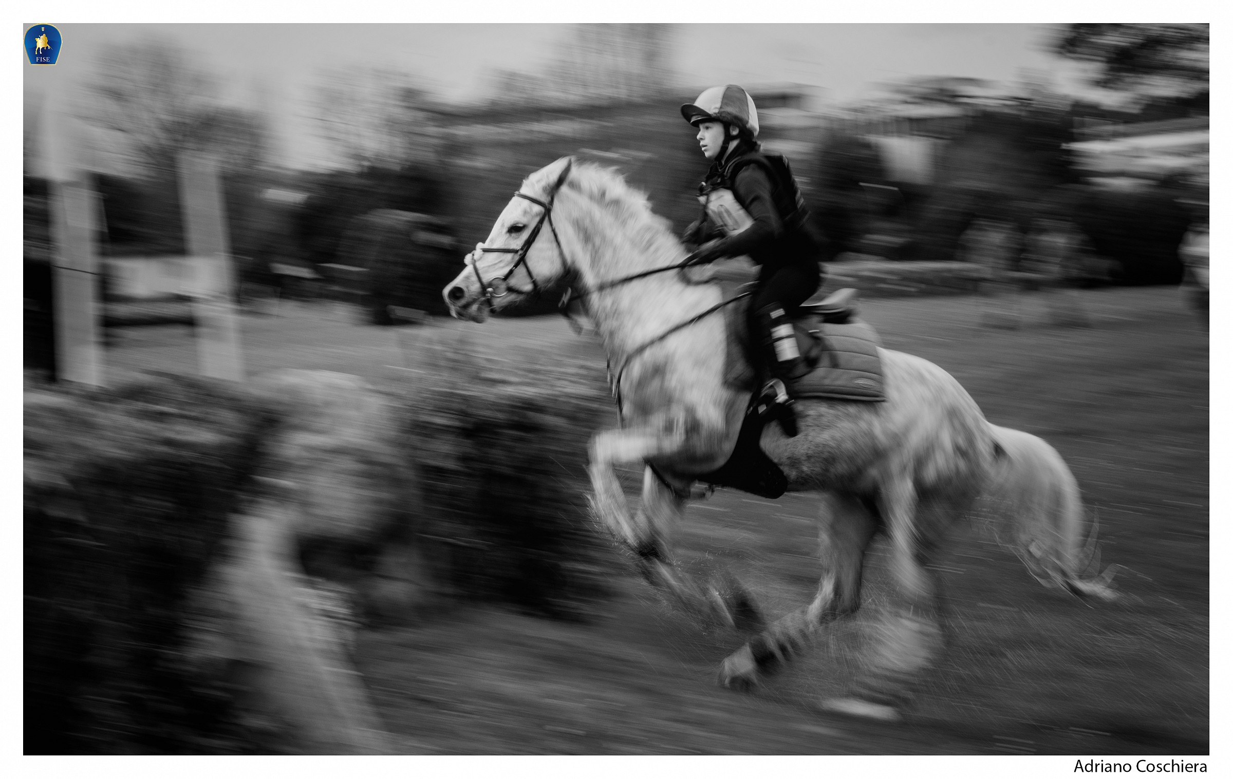 Panning Horse