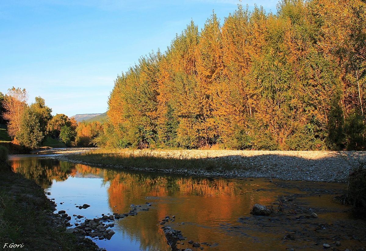 Taste of autumn in Prato