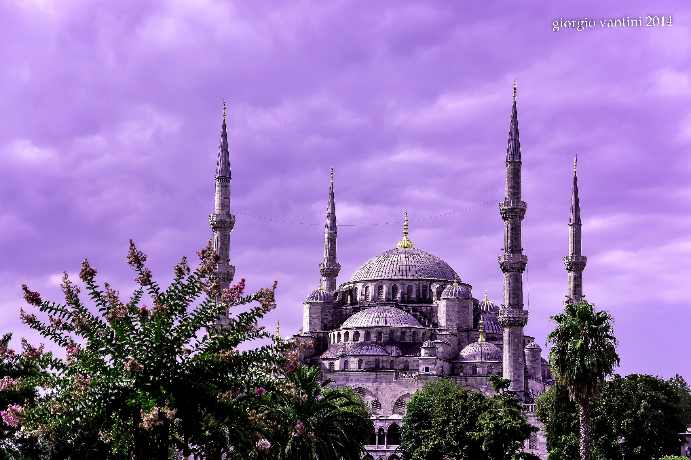 turchia - istanbul -  la moschea blu