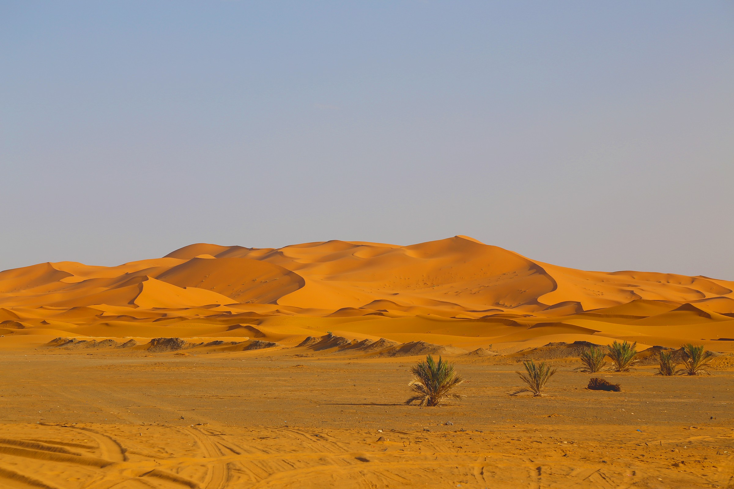 Ai piedie delle dune