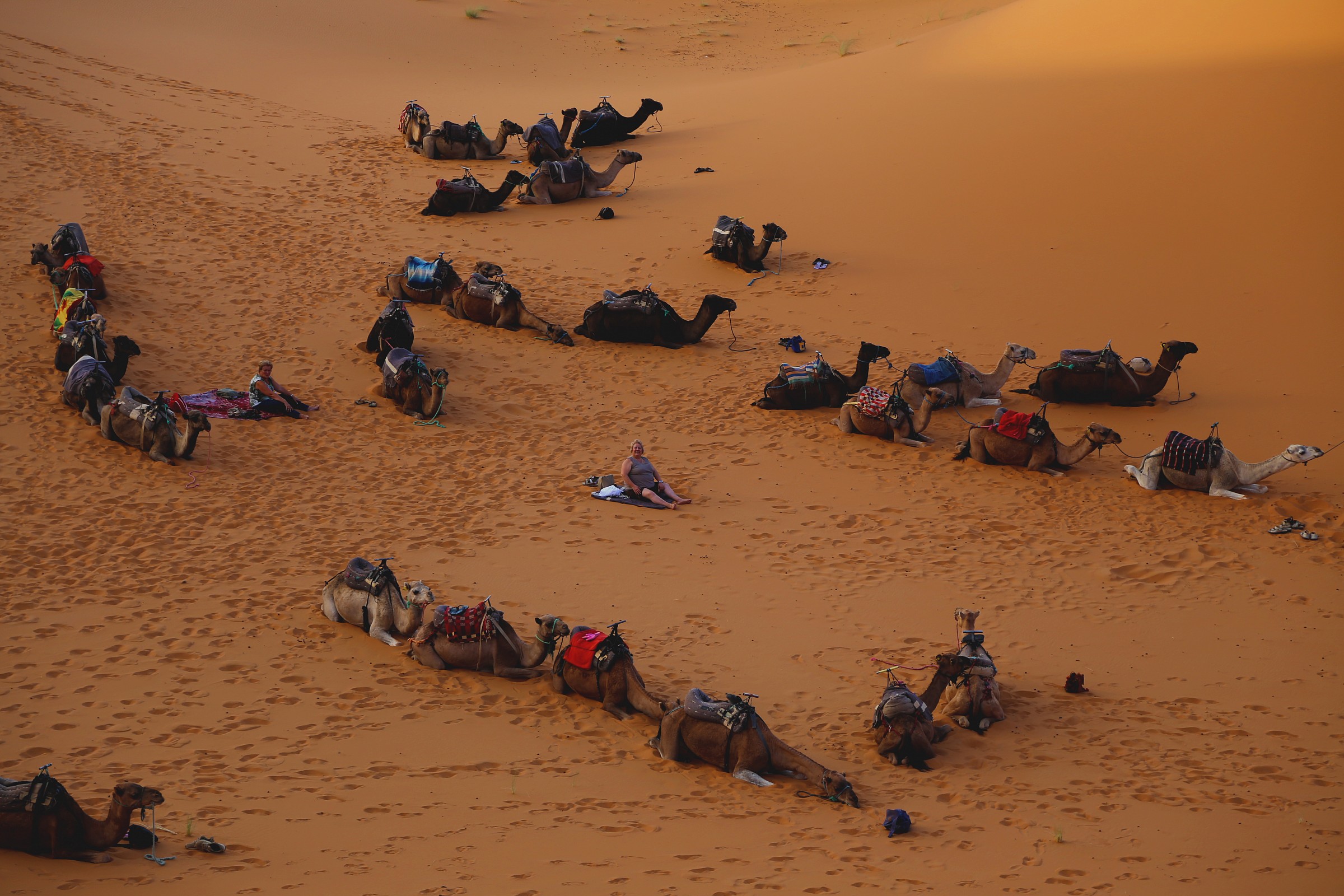 Il riposo dei (dromedari) enon solo