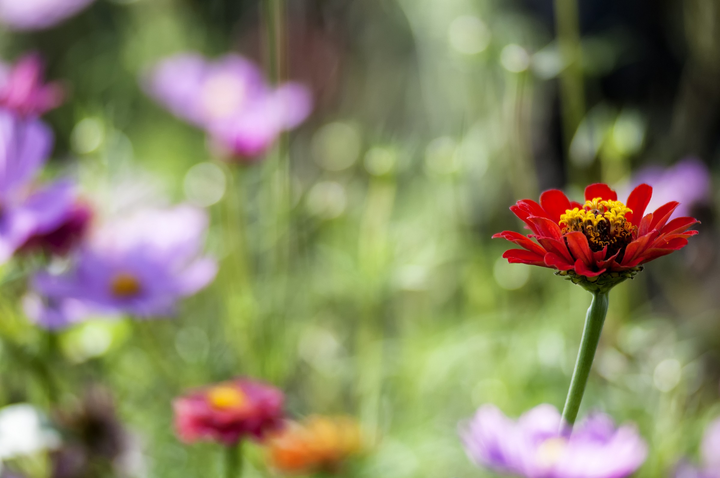 The difference between the mass