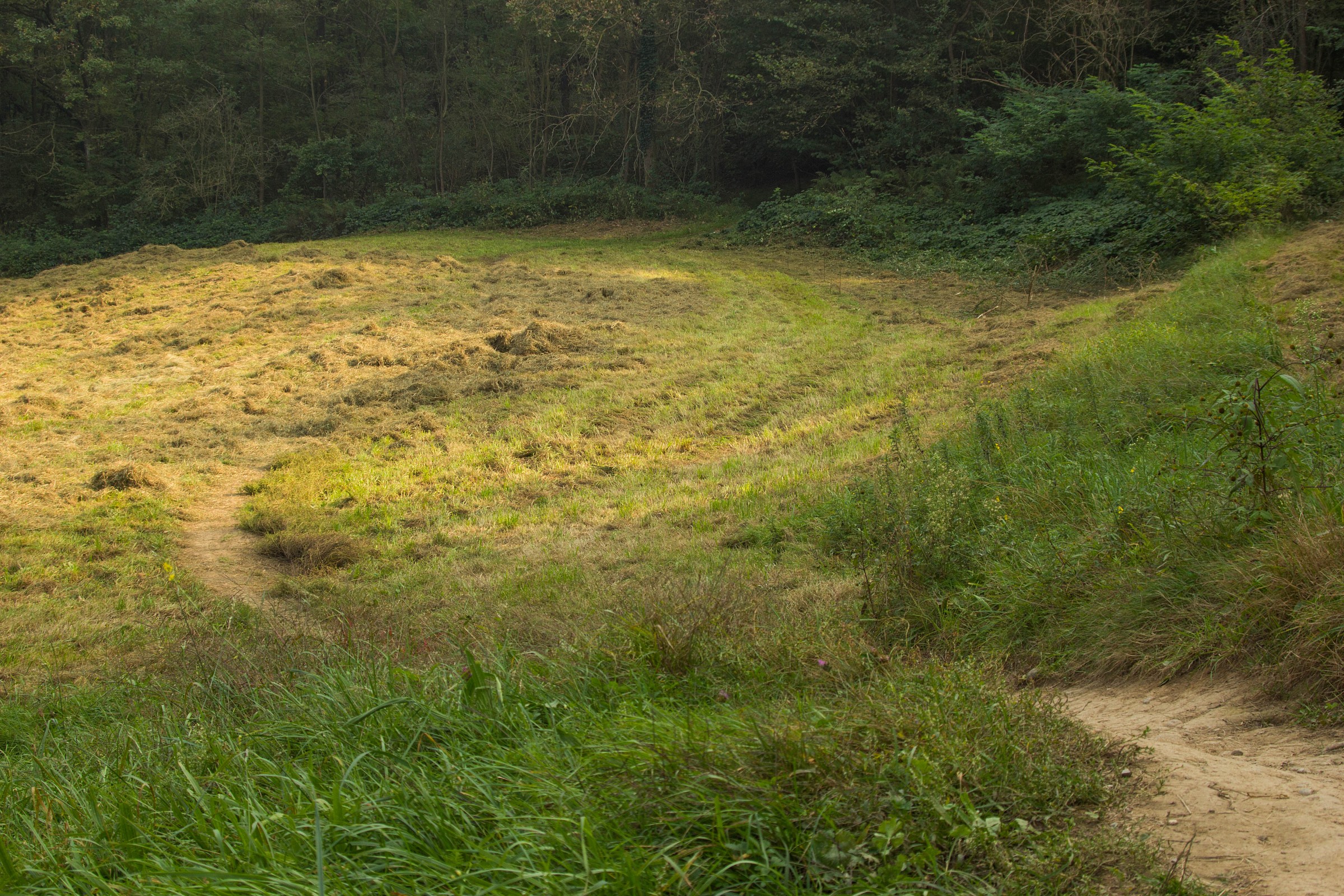 You can see a path ..