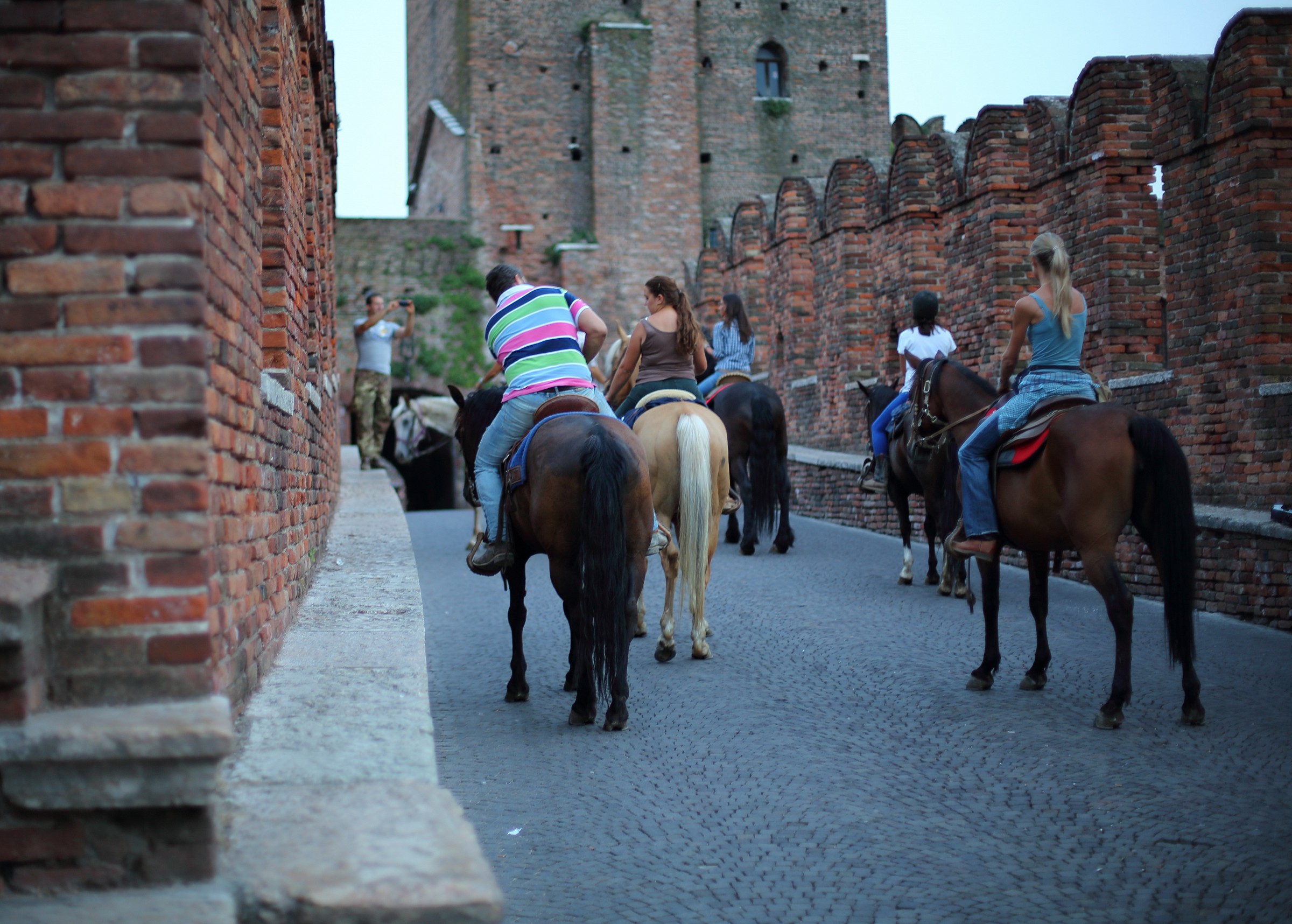 Cavalli a Ponte Vecchio VR