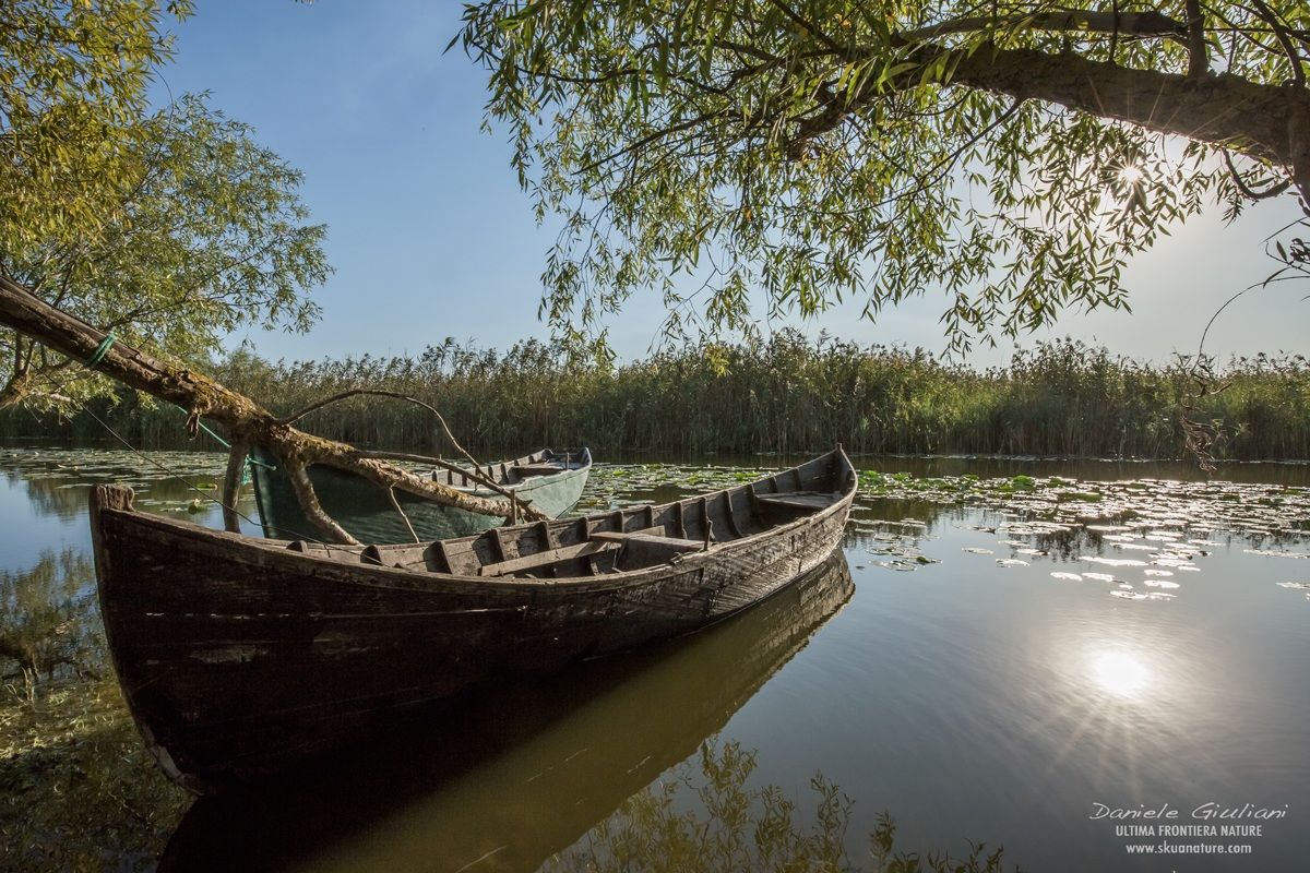 Uno scorcio di Letea