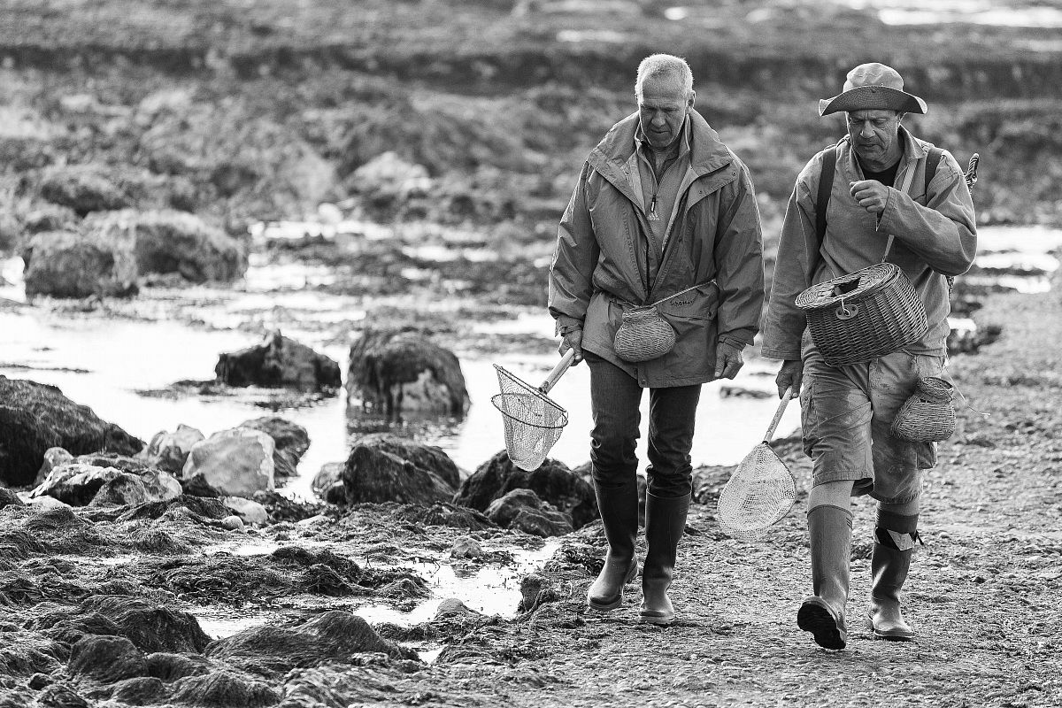 Fishermen land