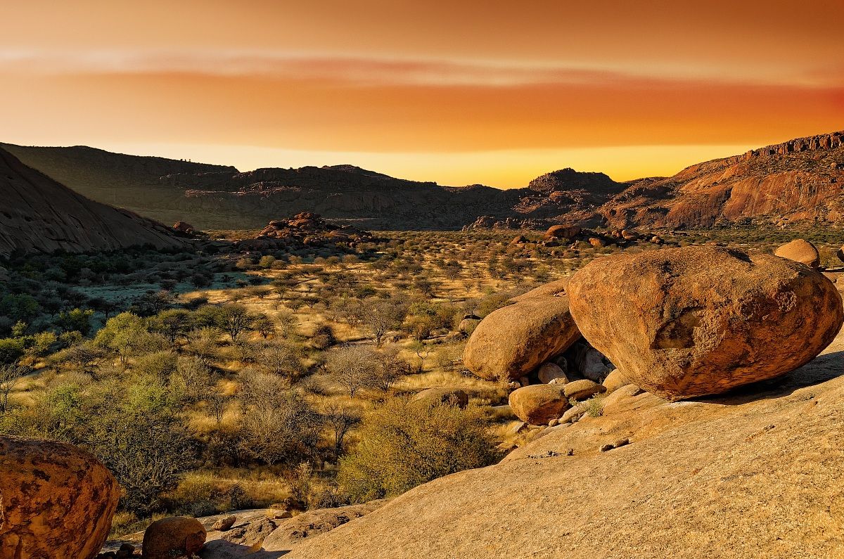 The warm atmosphere Bull Party