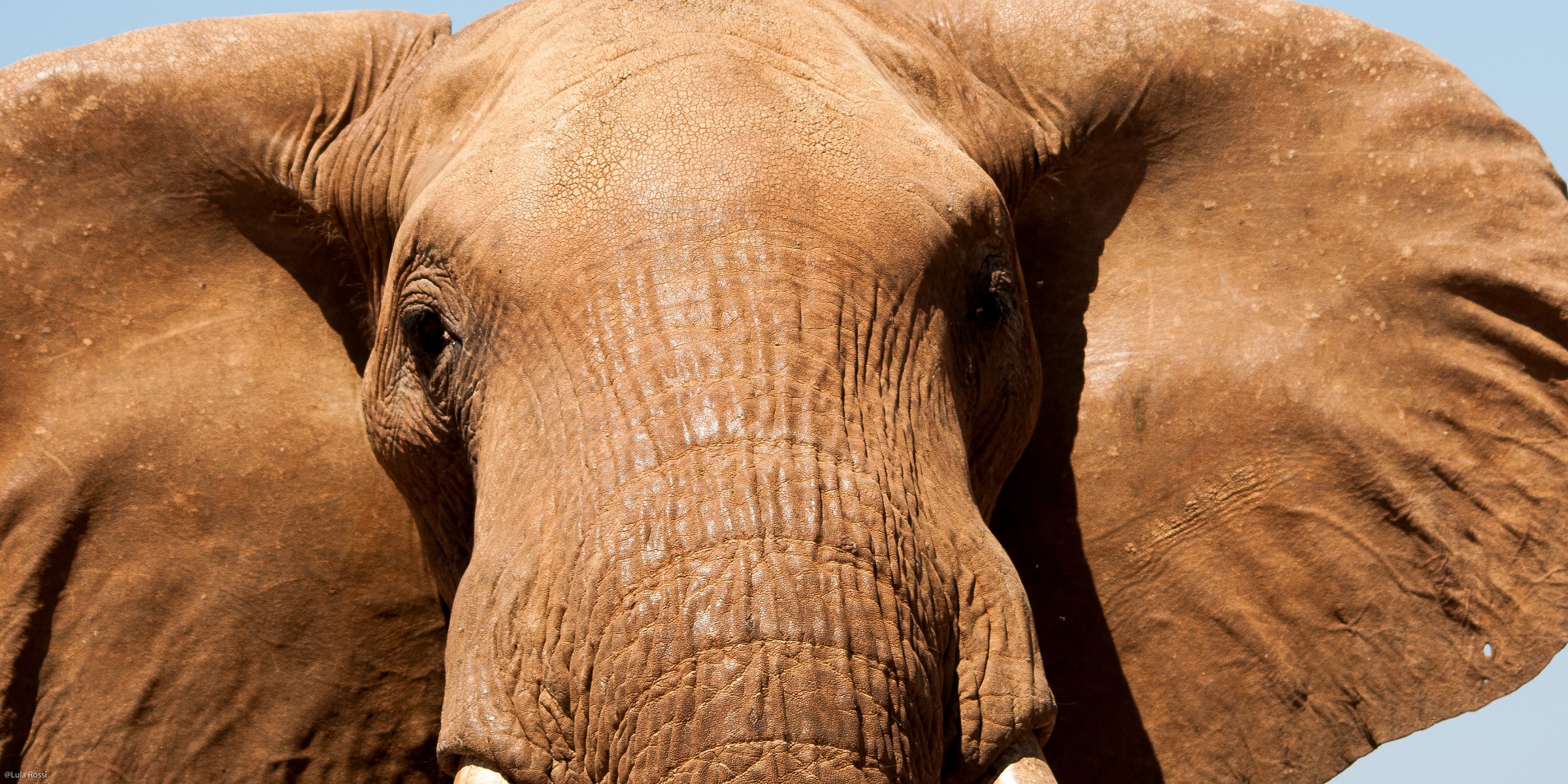 Hey, you're a little 'too close!