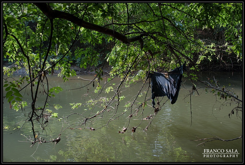 Parco di Monza - Il Lambro