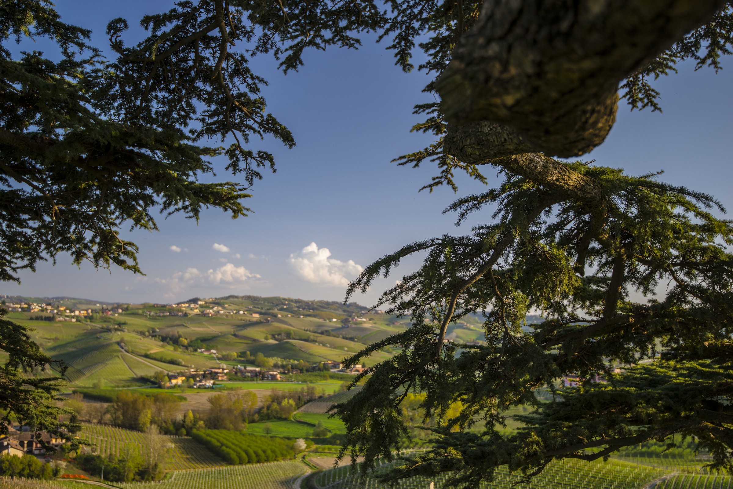 the Langhe
