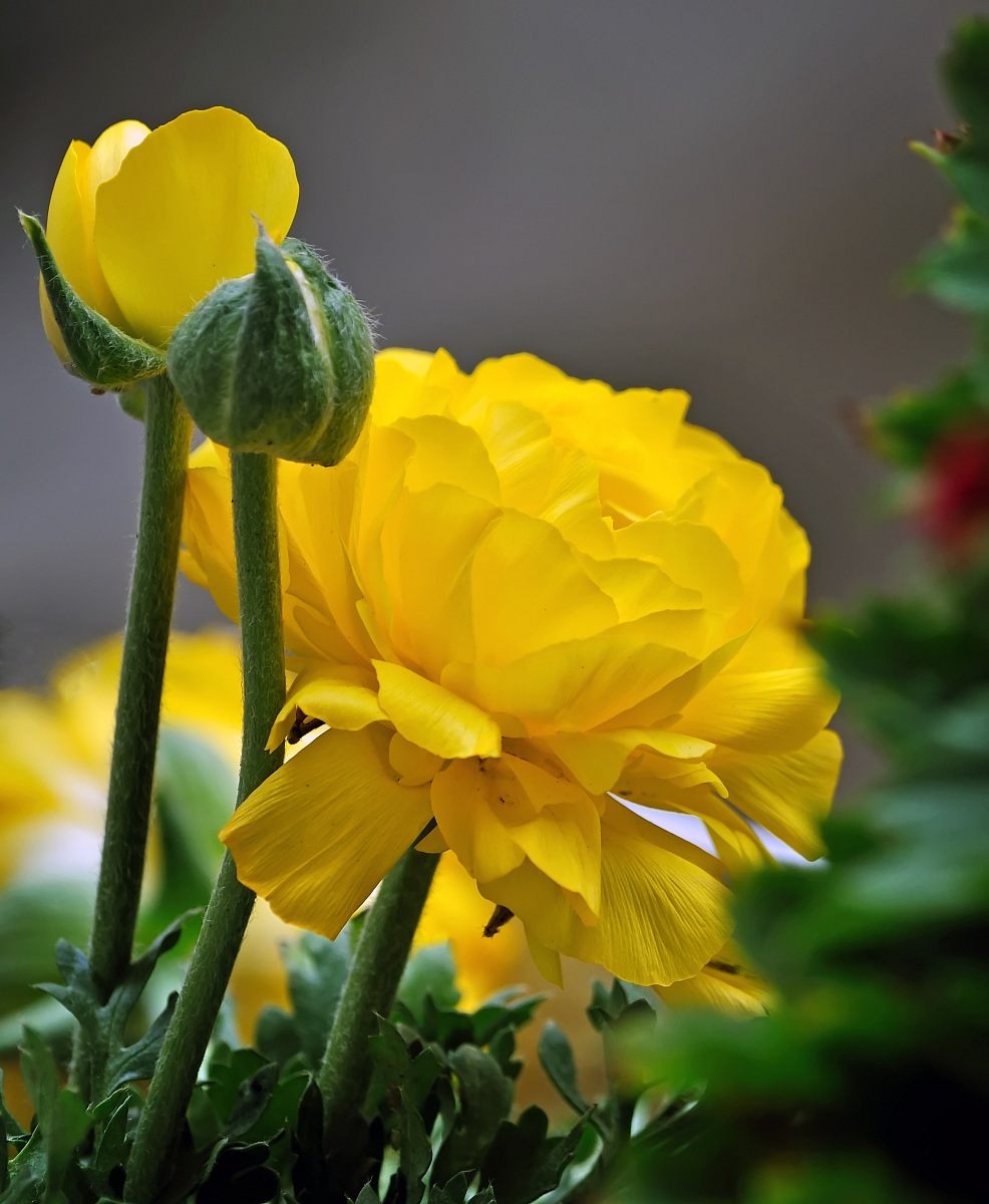 L'arte della bellezza