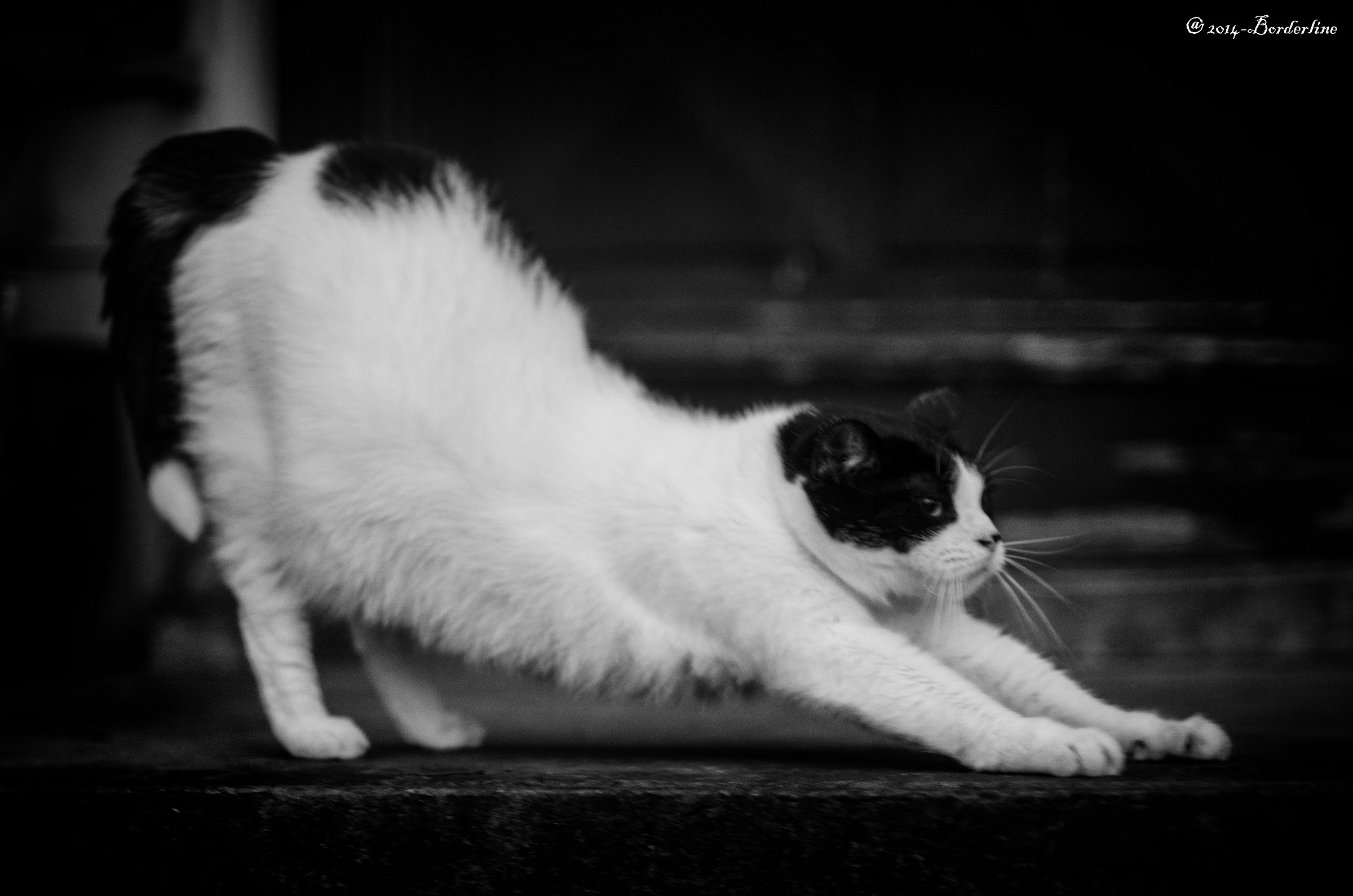 good morning midnight - sybil. - in a small town