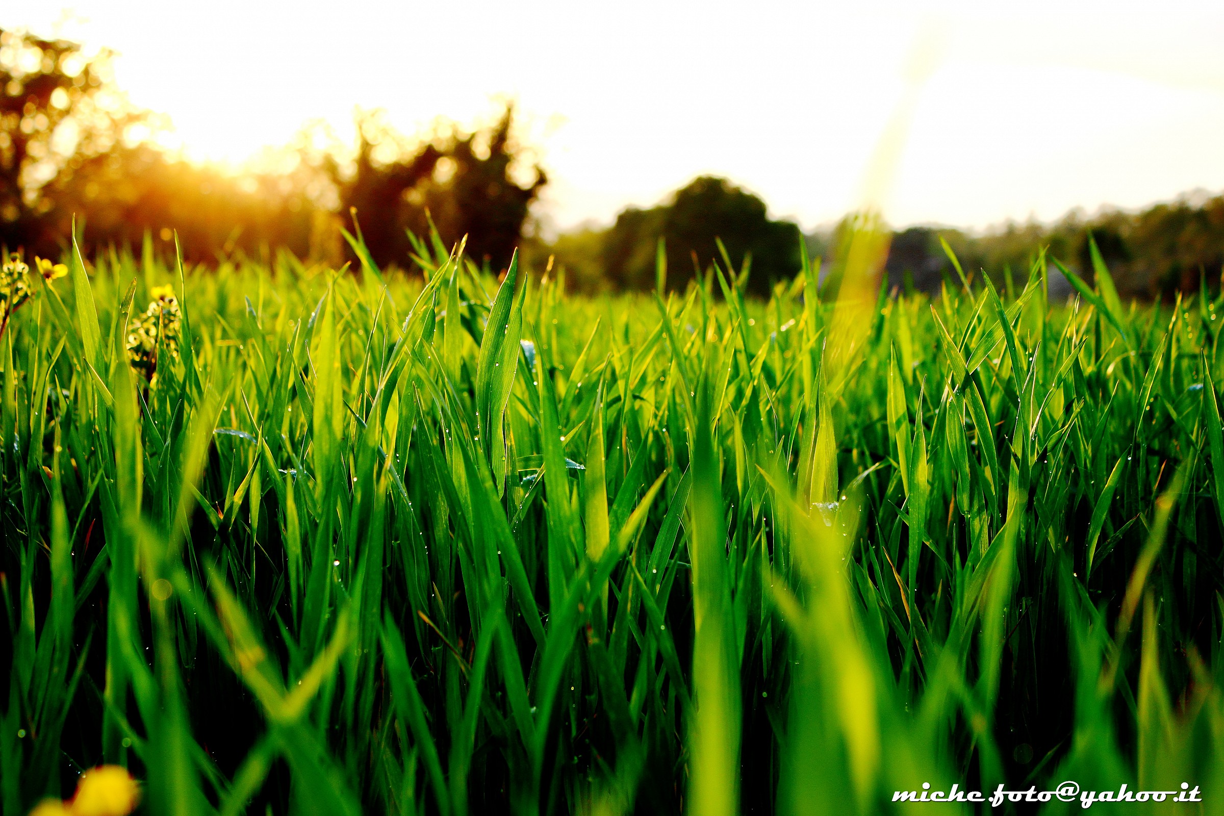 Sunset in the countryside
