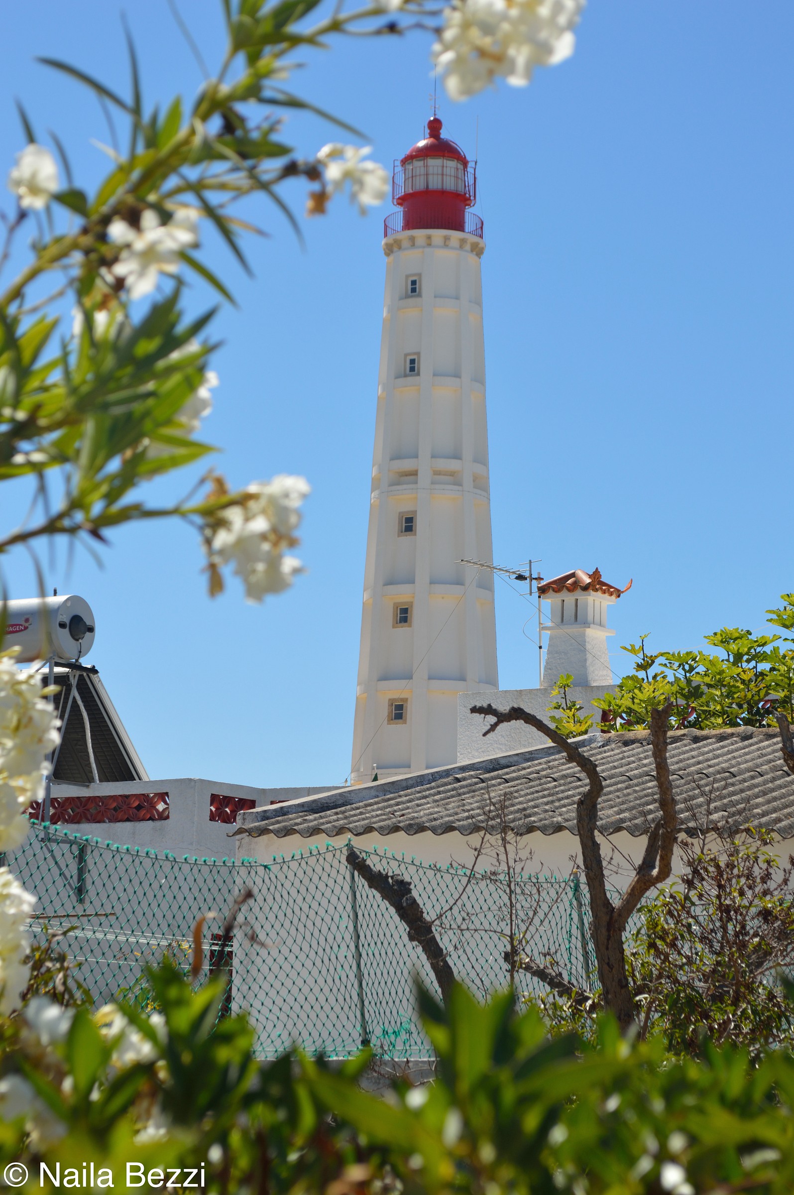 Farol