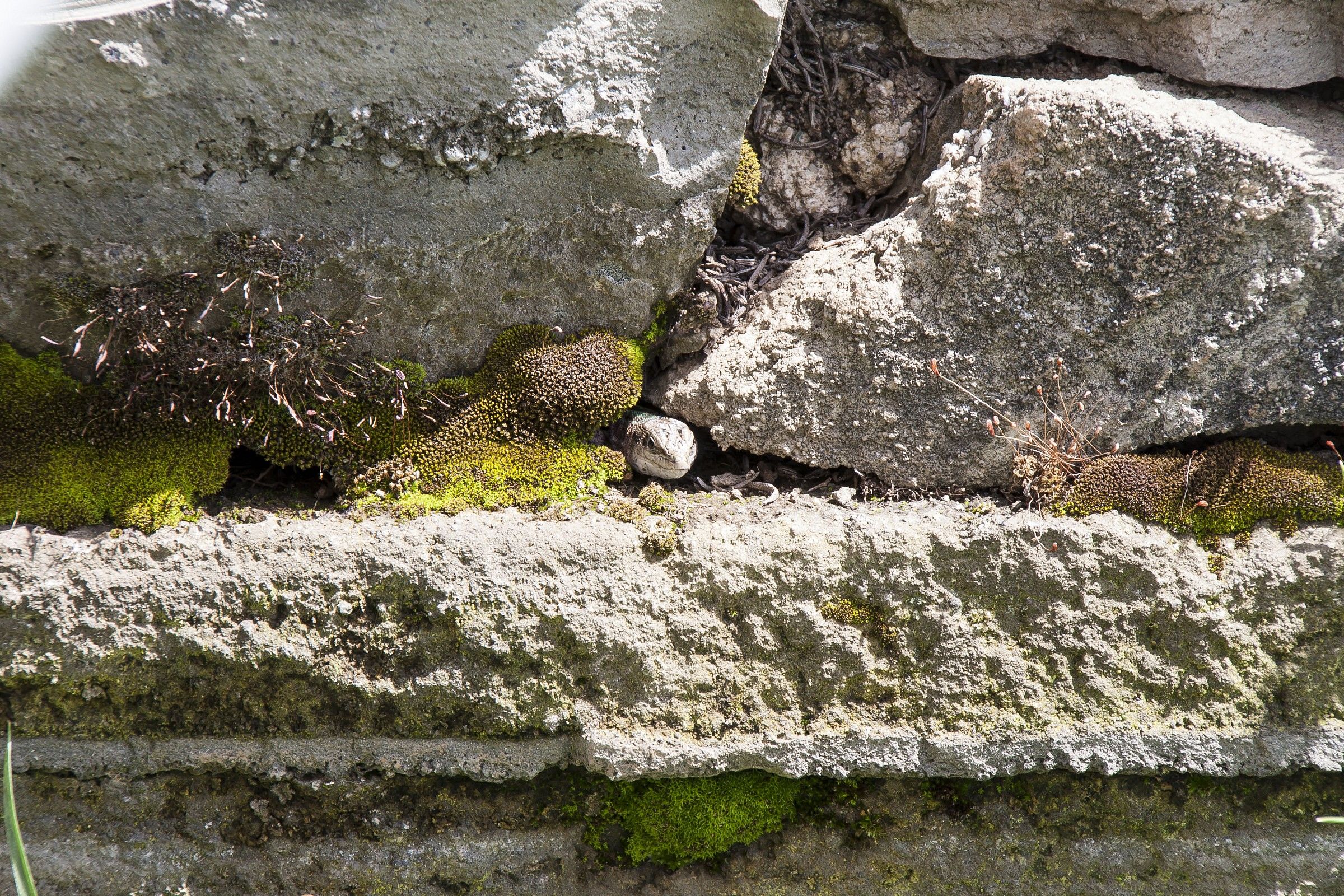 Che faccio .....esco?