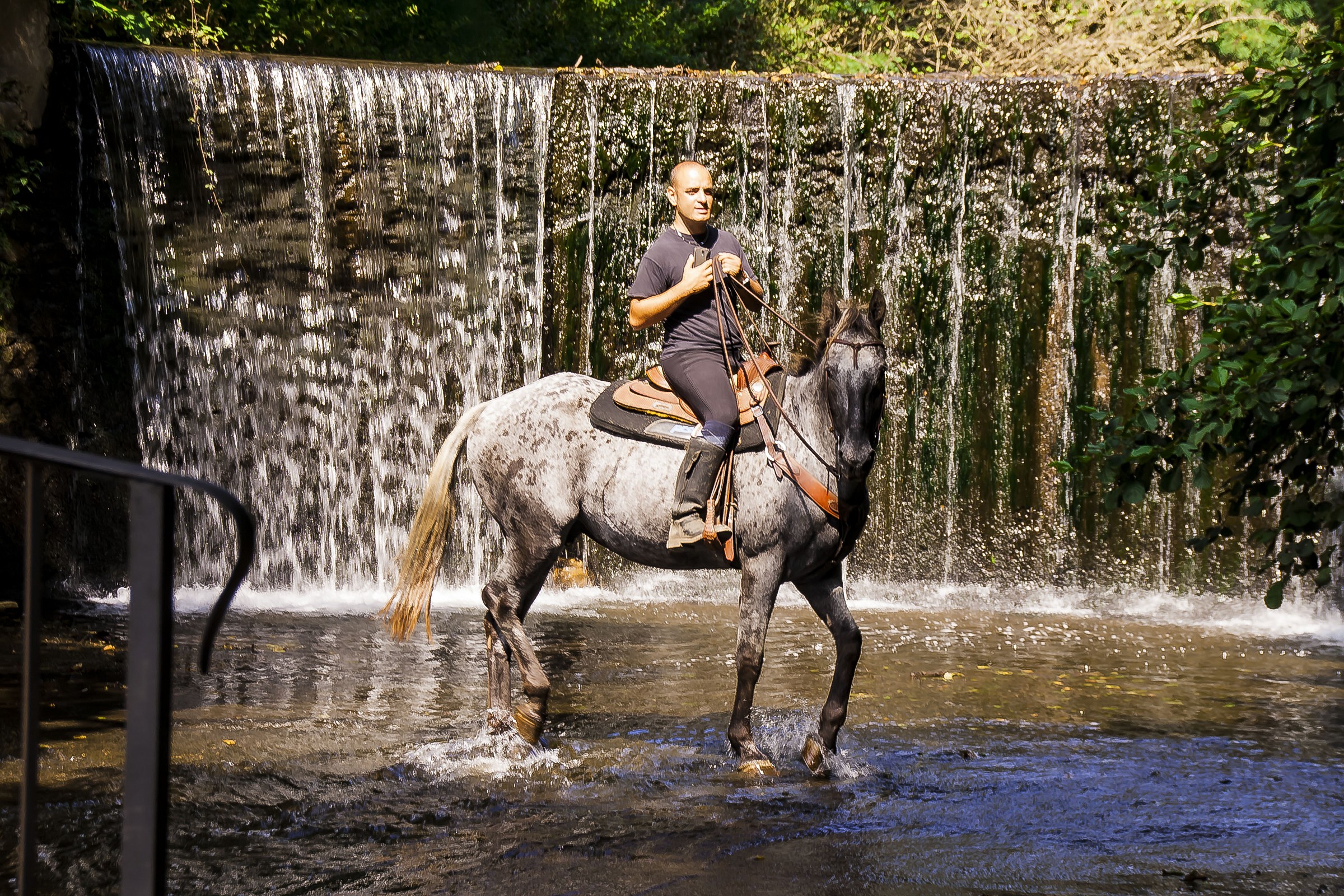 Cavallo e cascata