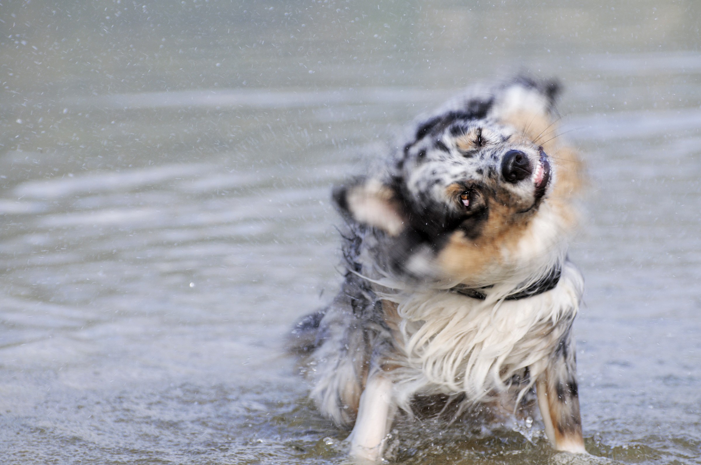 regola base dei ritratti: messa a fuoco sull'occhio