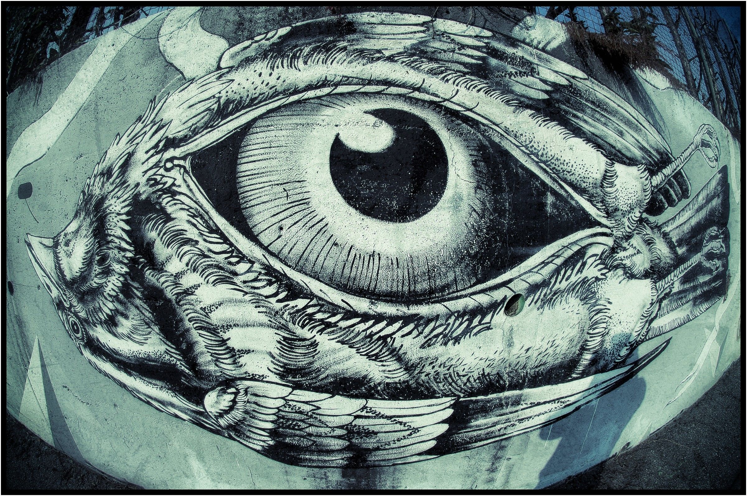 Eye To Eye, Bird In Fish ...