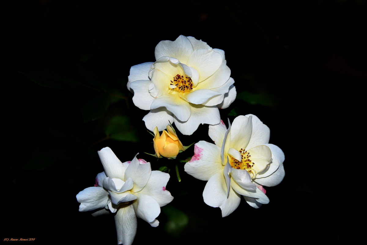 Le ultime della stagione