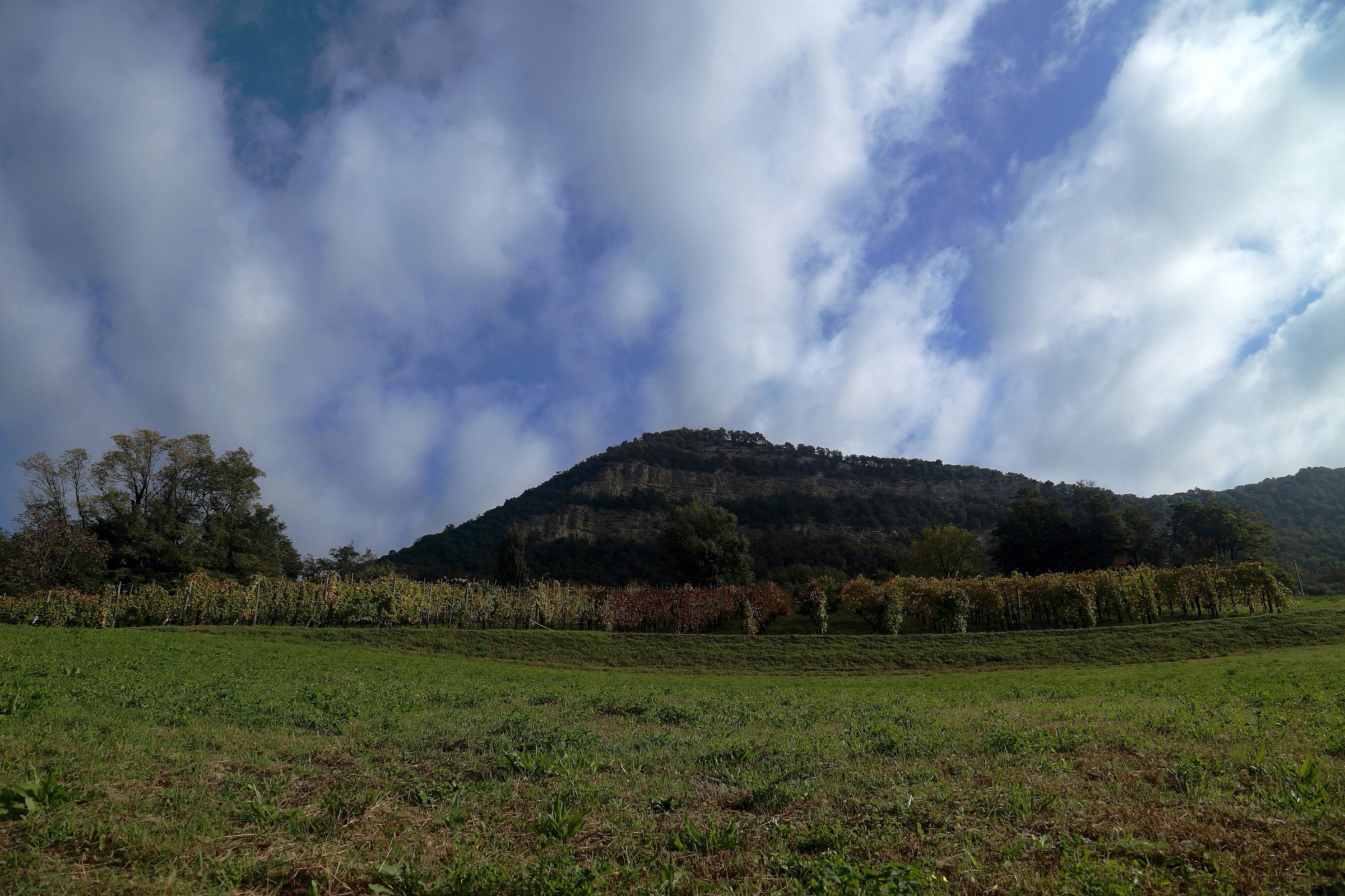 All hell broke loose