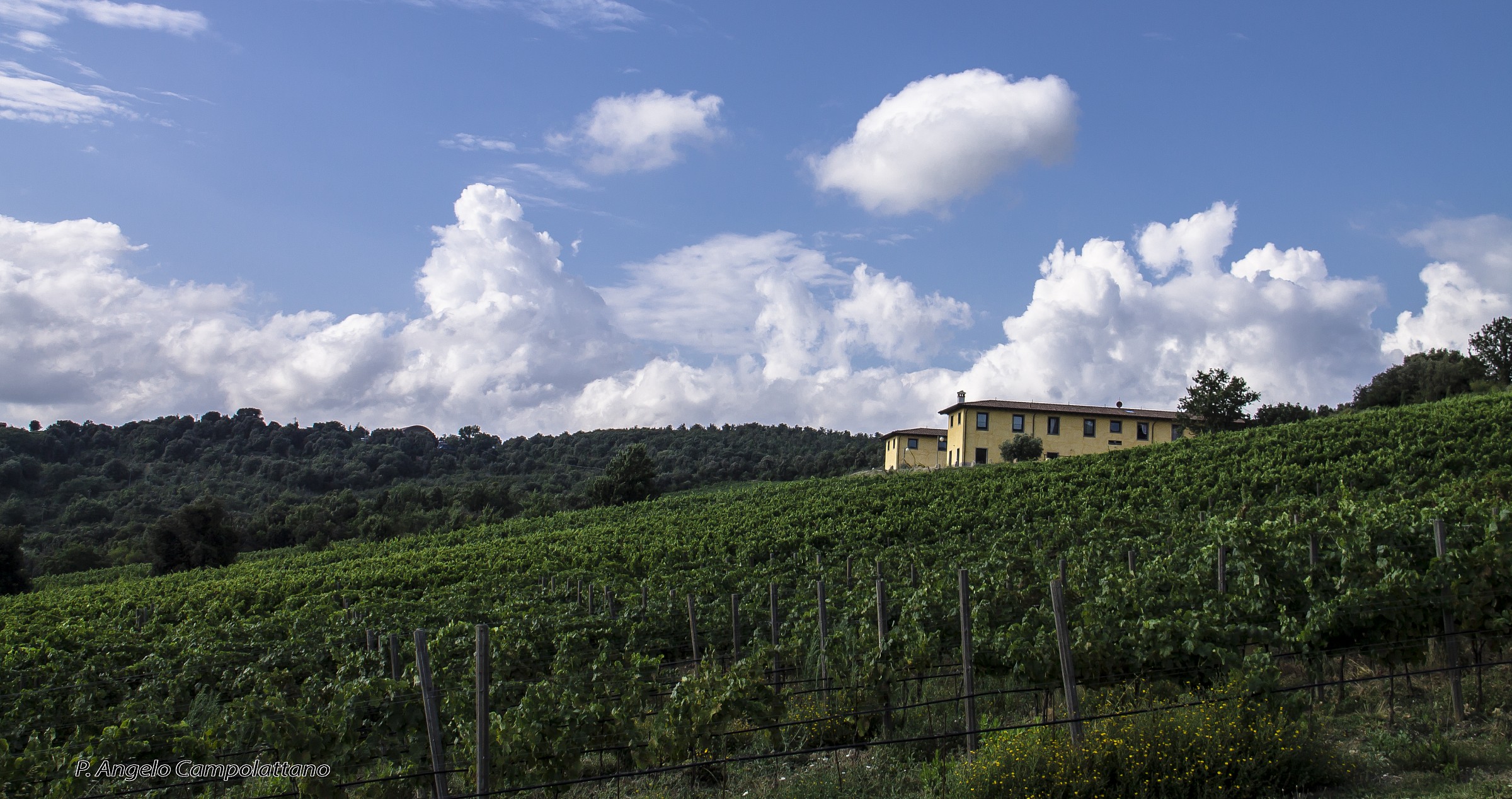 Between the screws !!!!!!!!