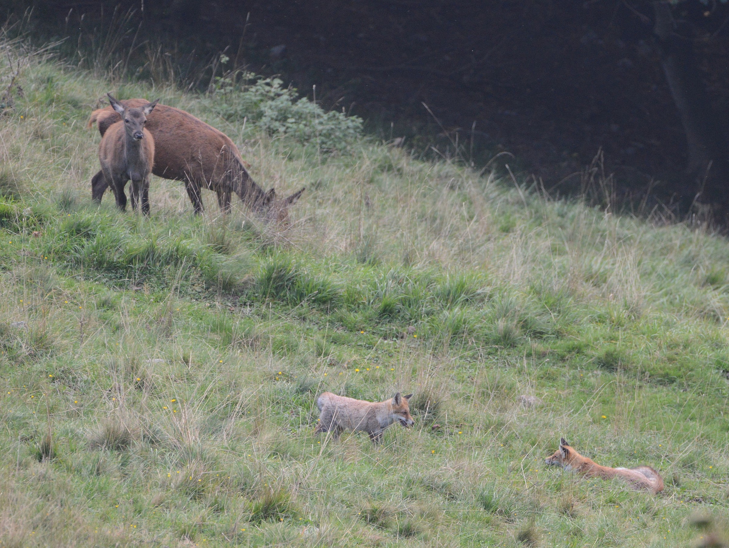 I want to play too ...