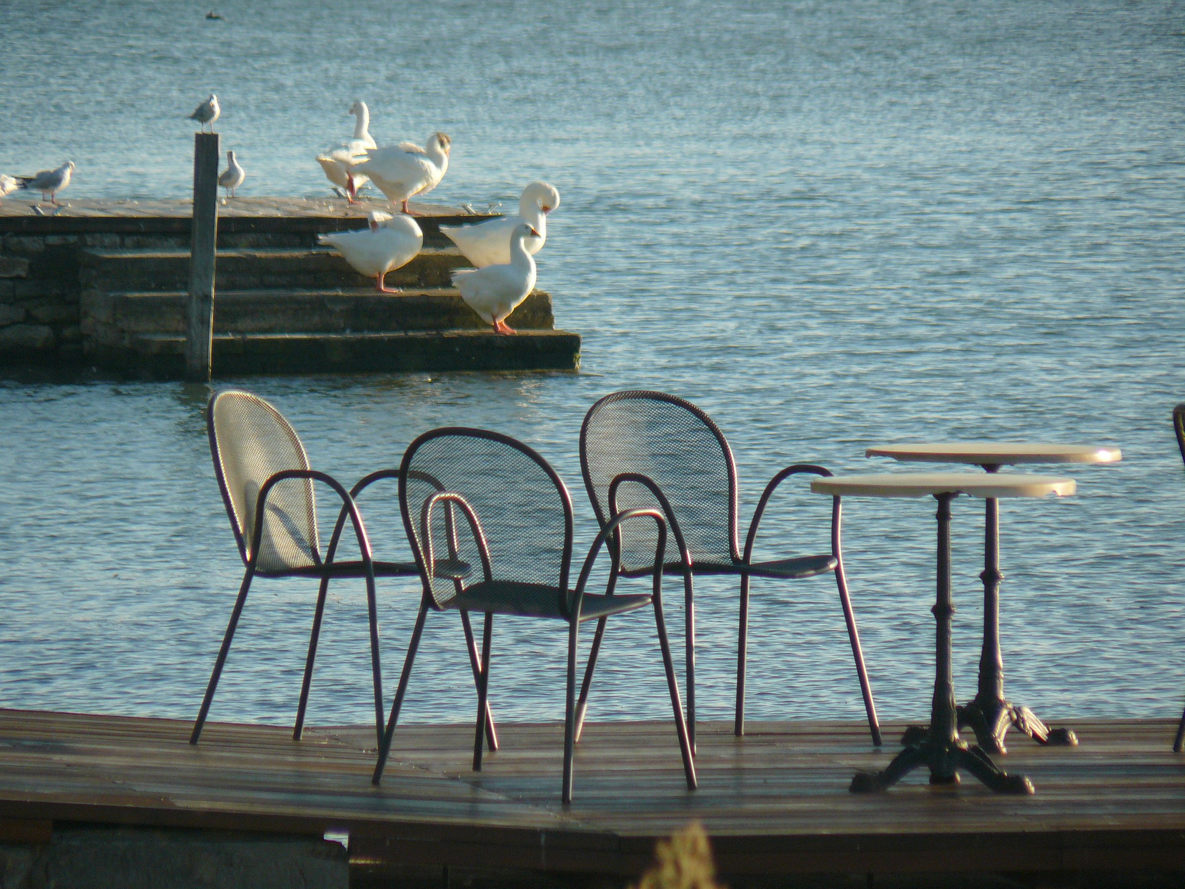 Un caffè in riva al lago