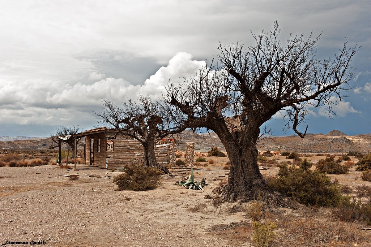 Deserto di Tabernas